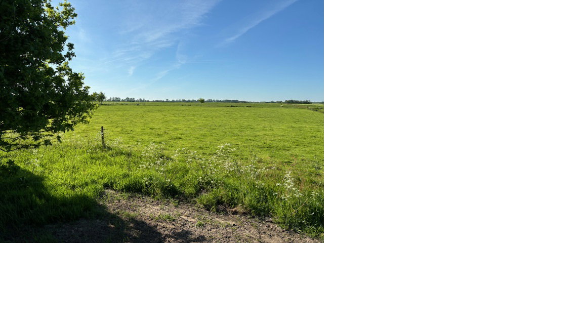 Natuurhuisje in Blesdijke