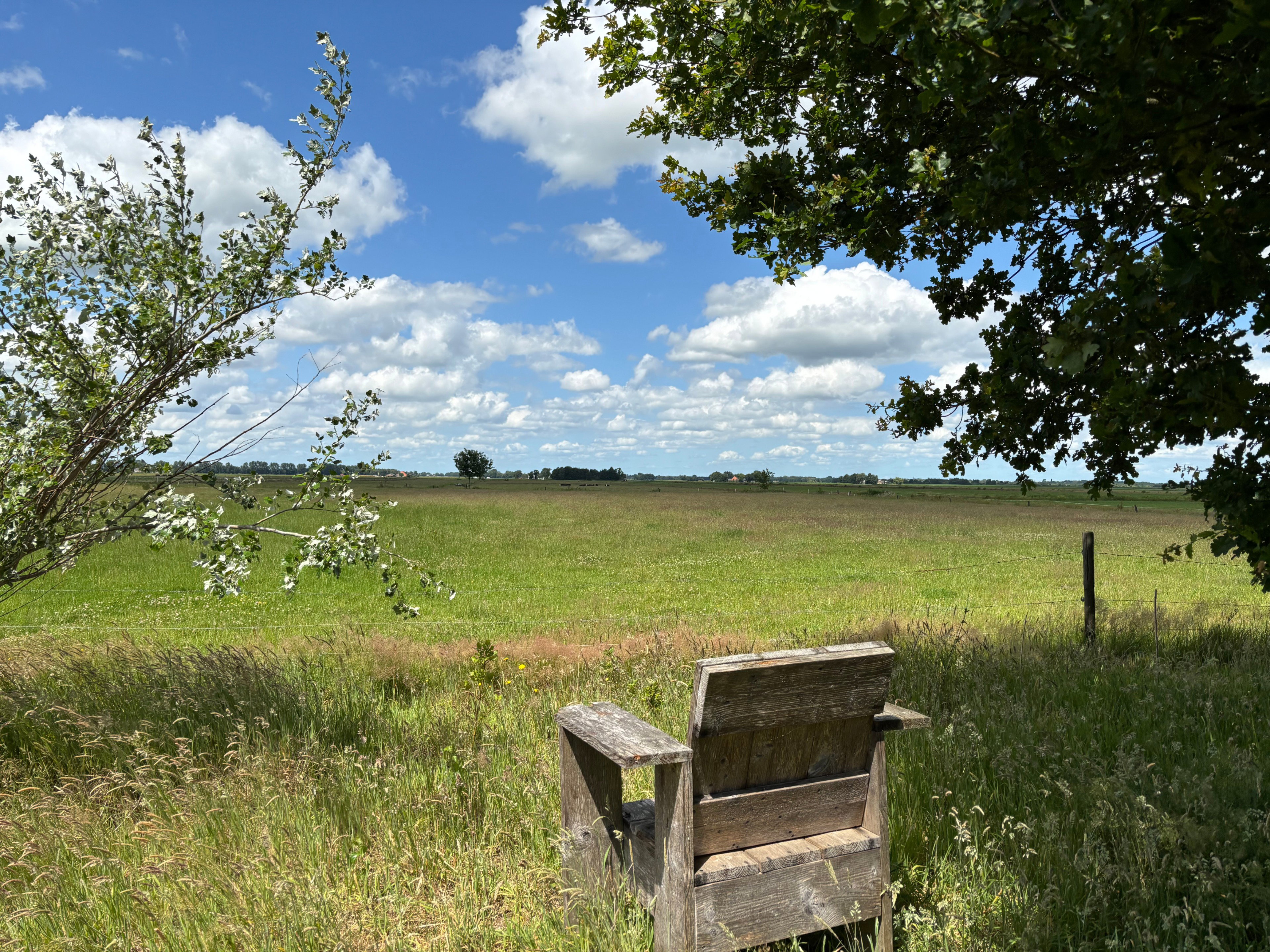 - image: 12