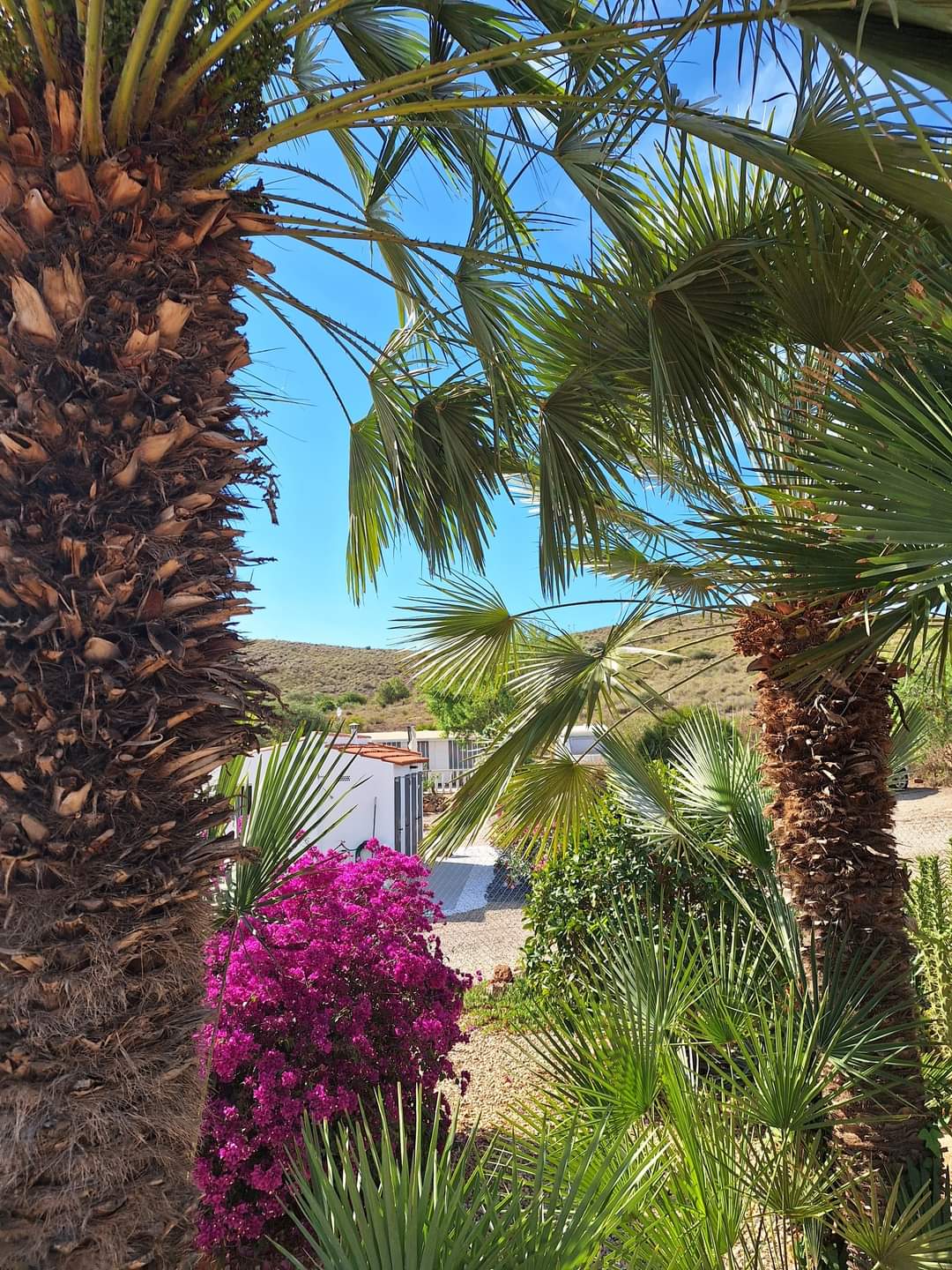 Naturhäuschen in Cartagena