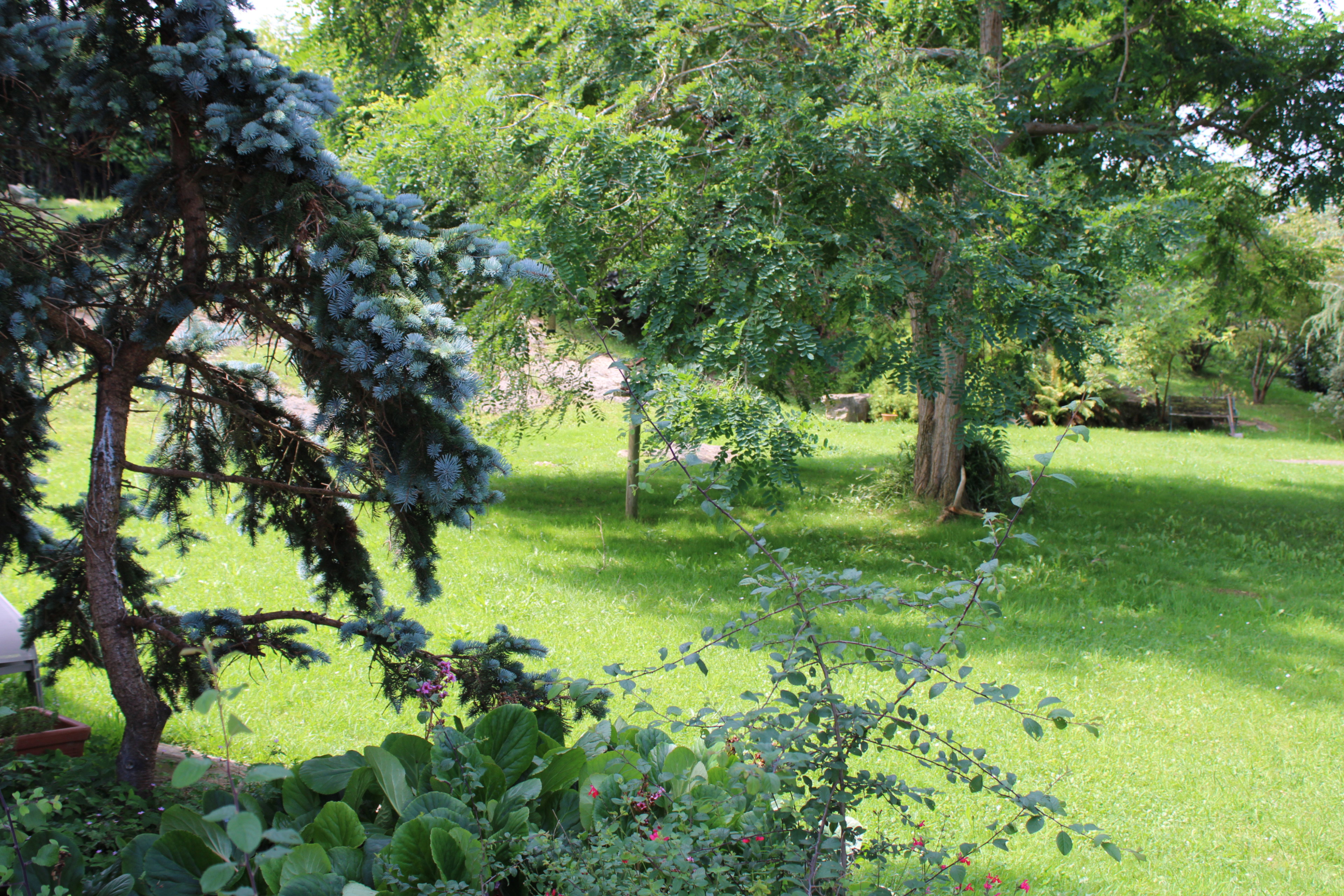 Natuurhuisje in Cobreces