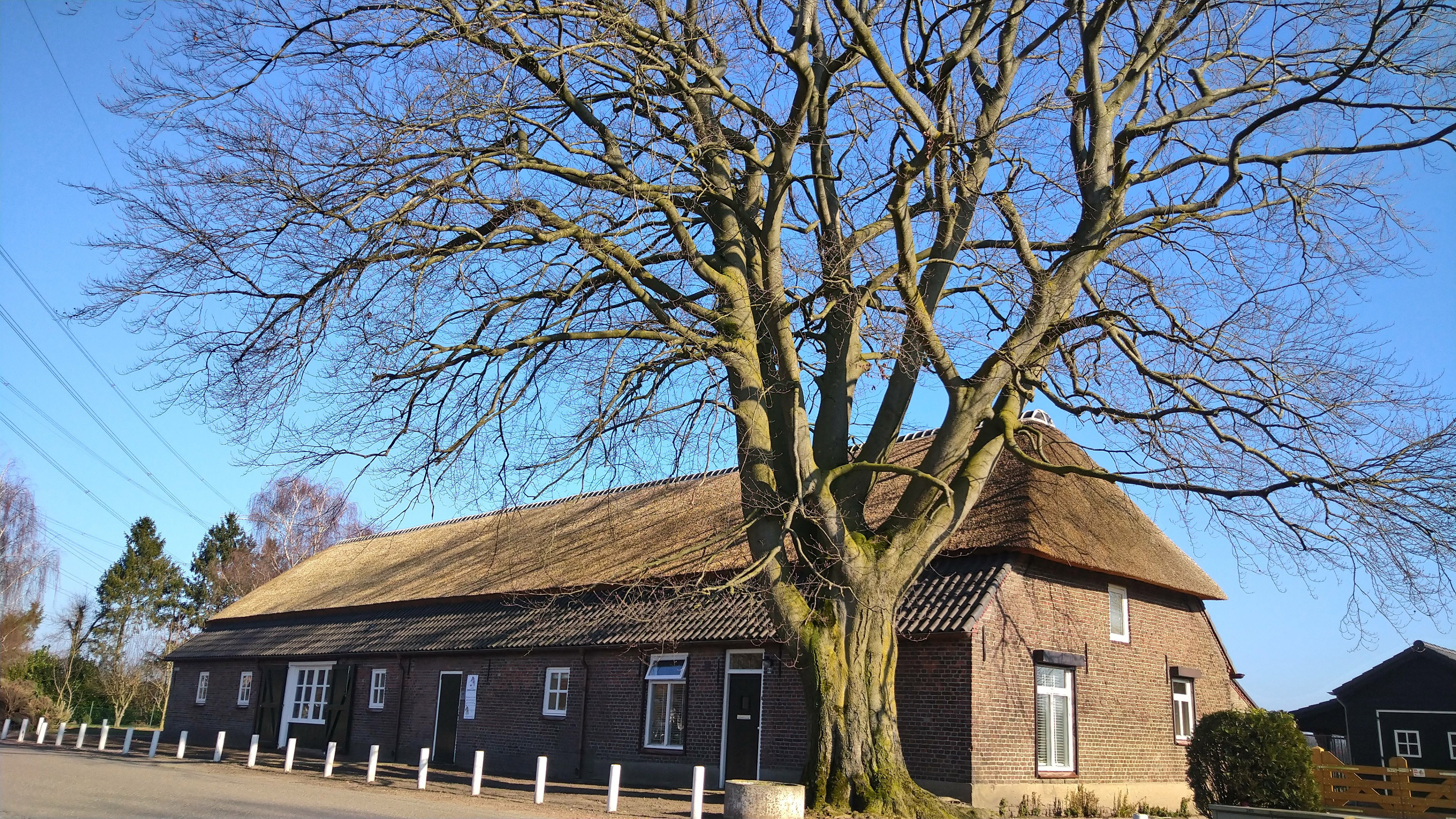 Natuurhuisje in Mierlo