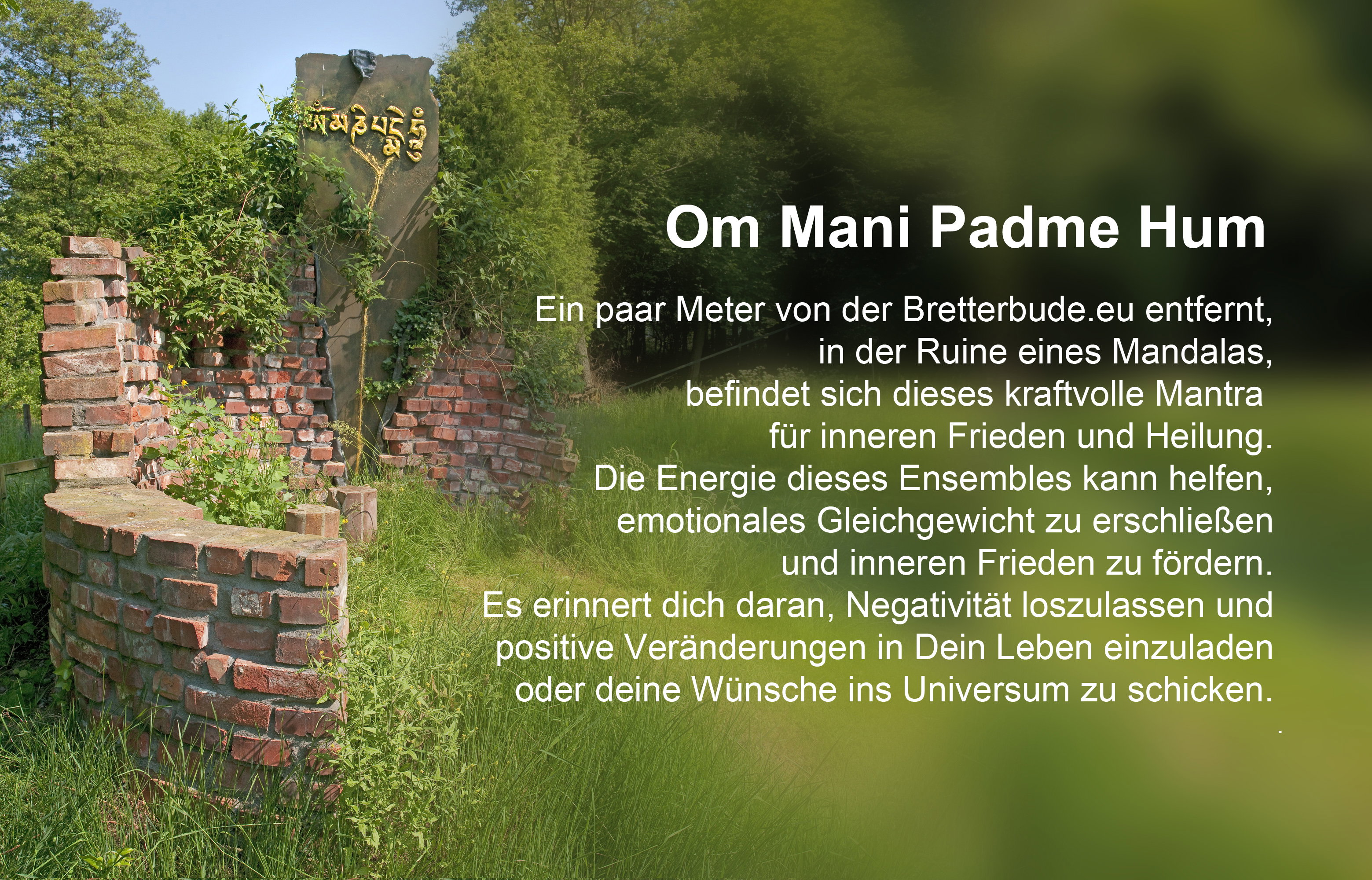 - image: 27