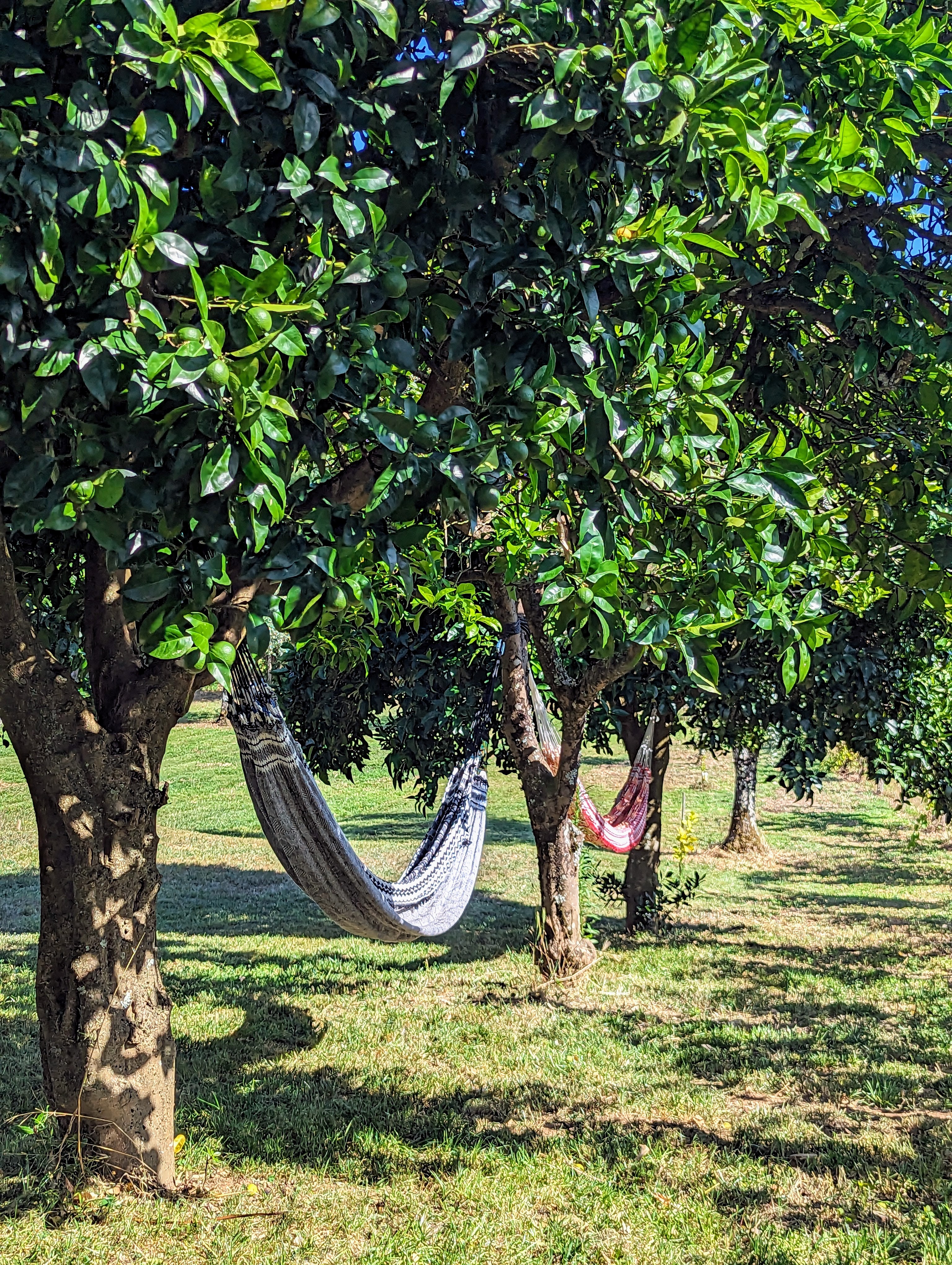Natuurhuisje in Pedrogao Pequeno