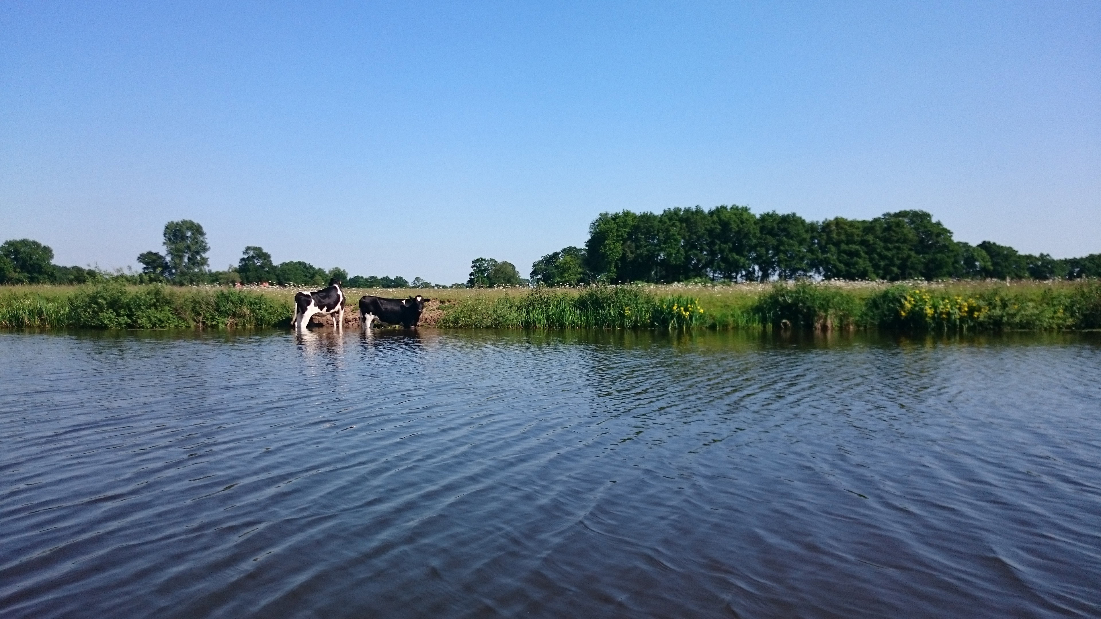 Naturhäuschen in Diffelen
