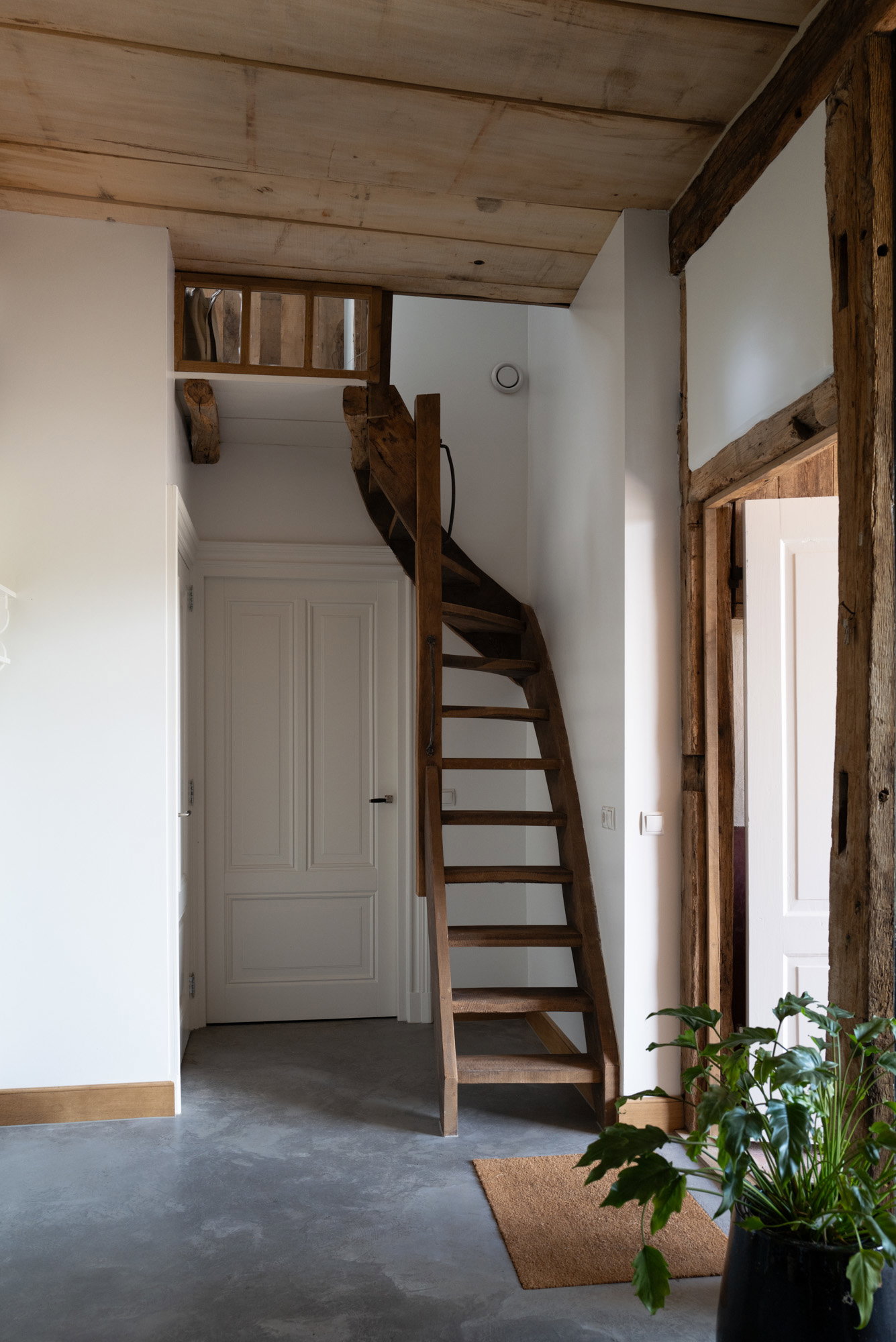 - image: 20