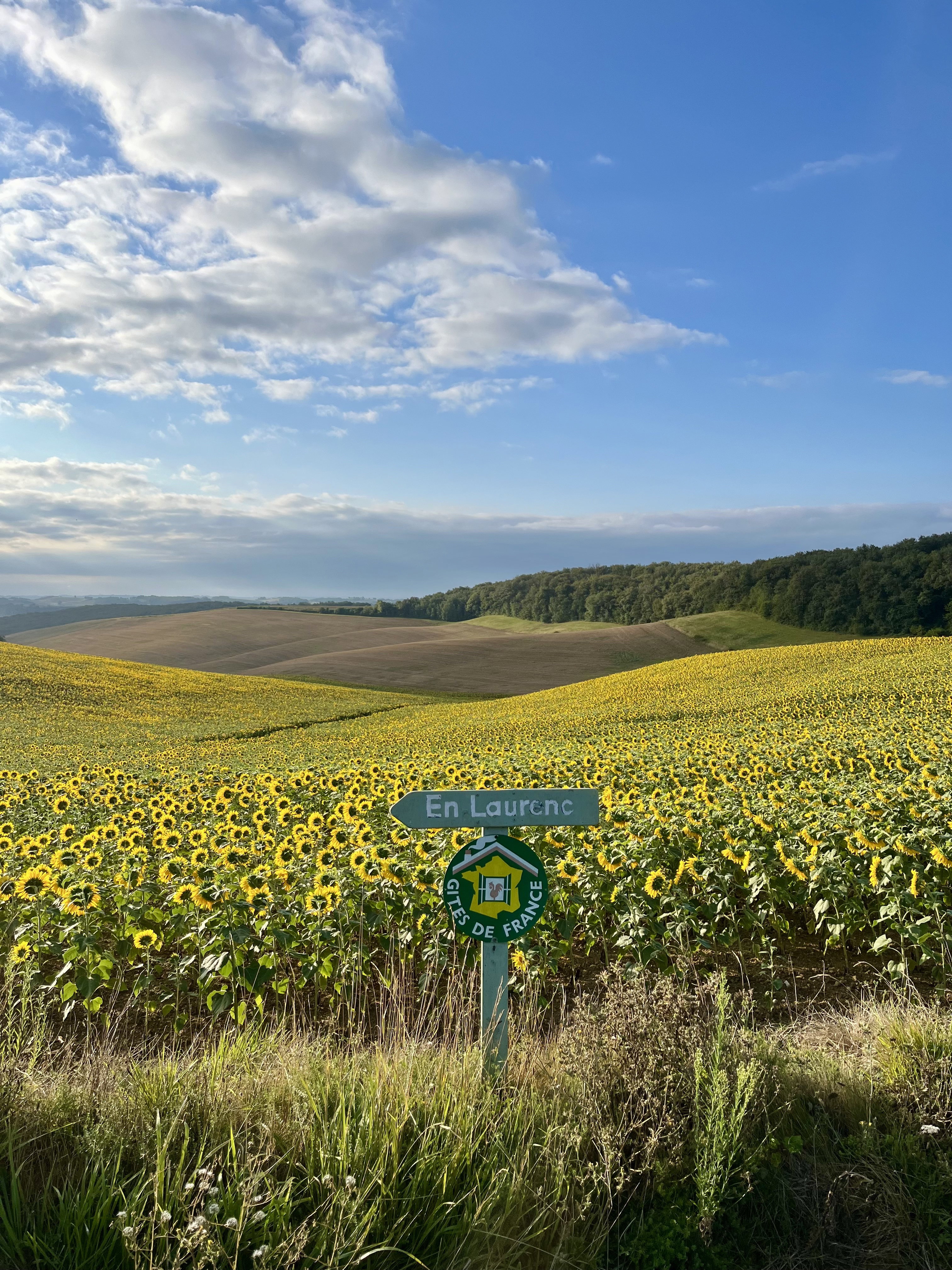 Natuurhuisje in Castelnau-Barbarens