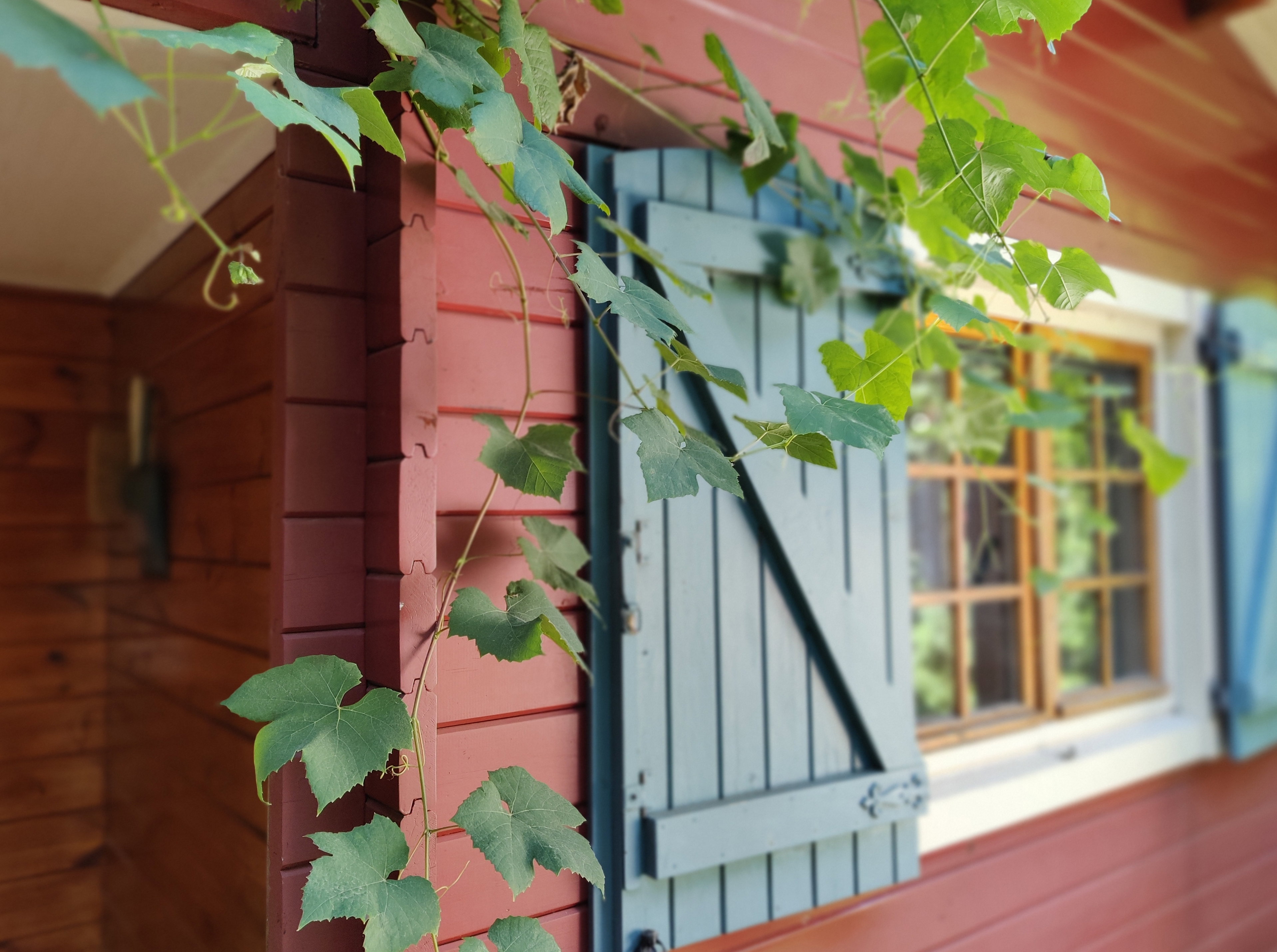Casa nella natura a Groesbeek