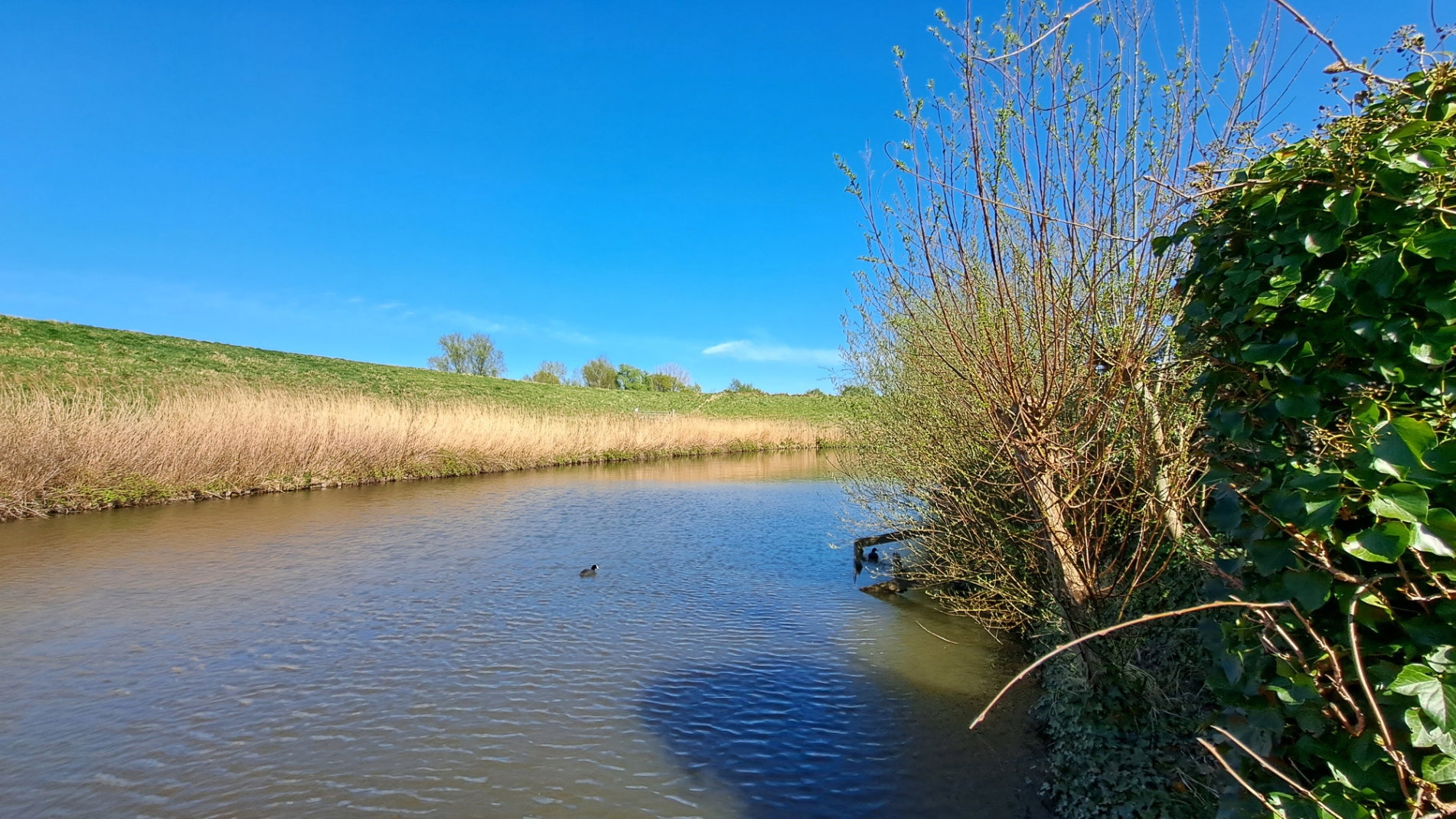 Natuurhuisje in Ooltgensplaat