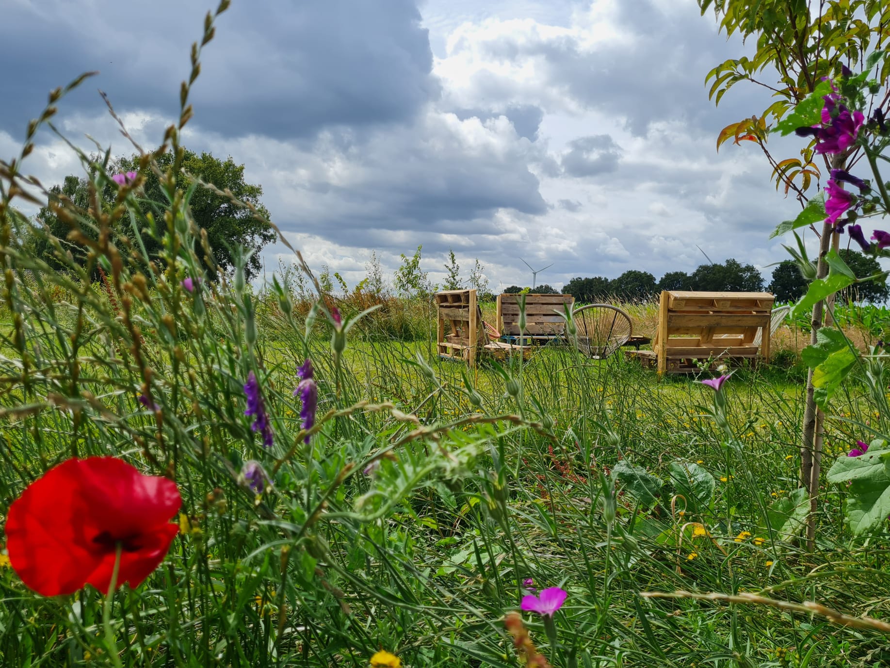 Naturhäuschen in Nederweert Eind