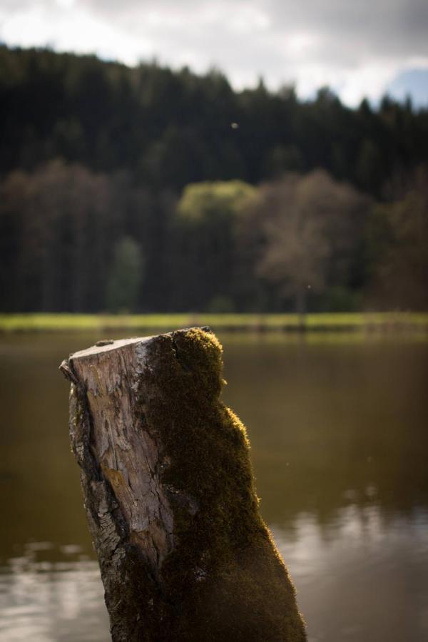 - image: 23
