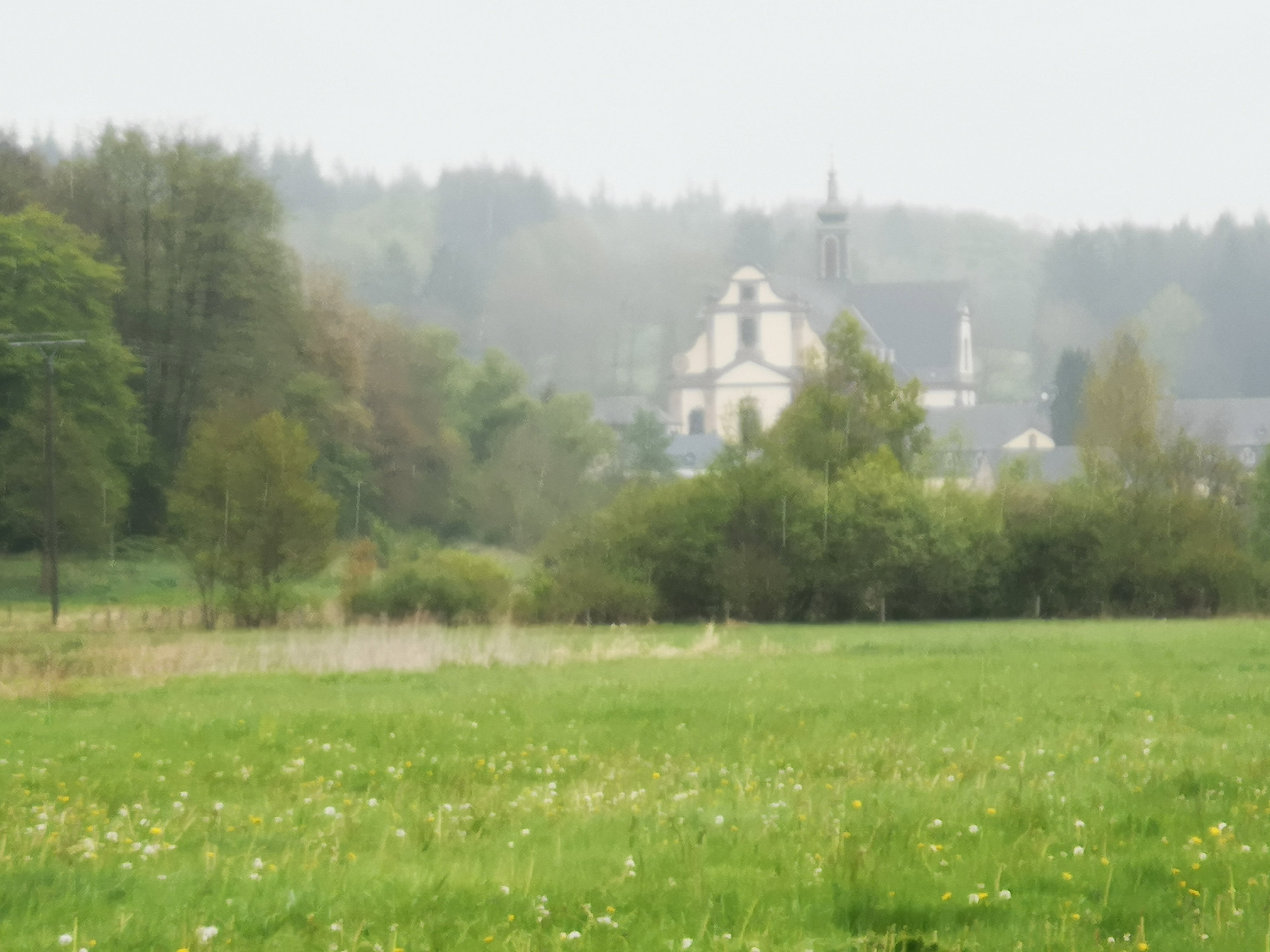- image: 48