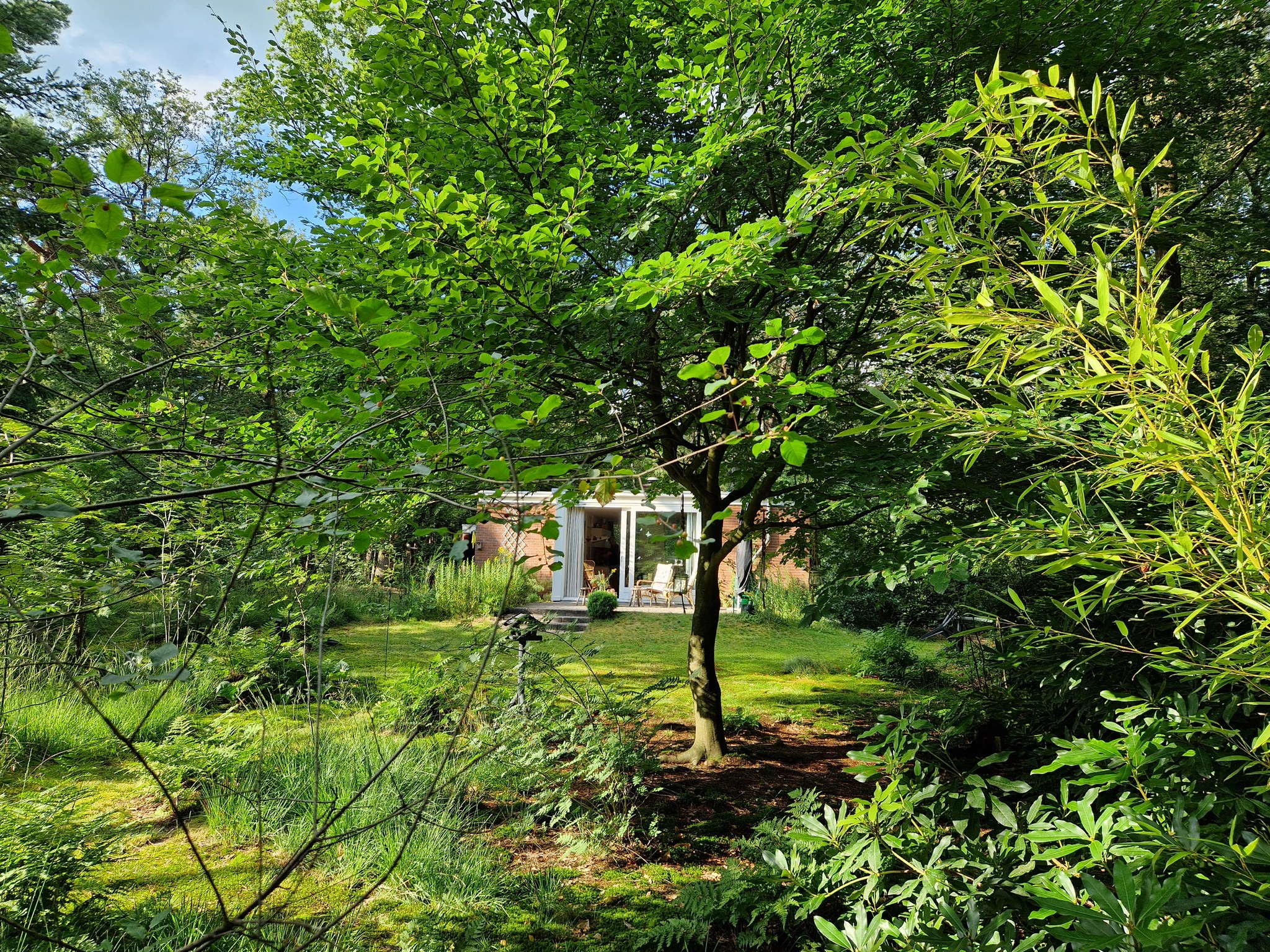 Casa nella natura a Zelhem