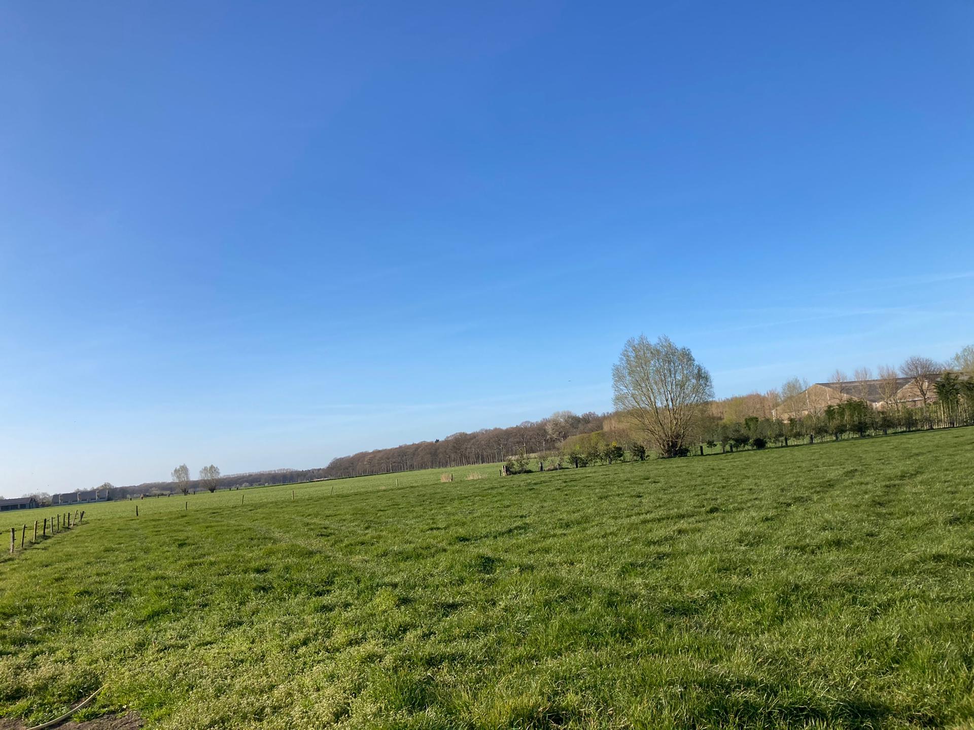 Casa nella natura a Wingene