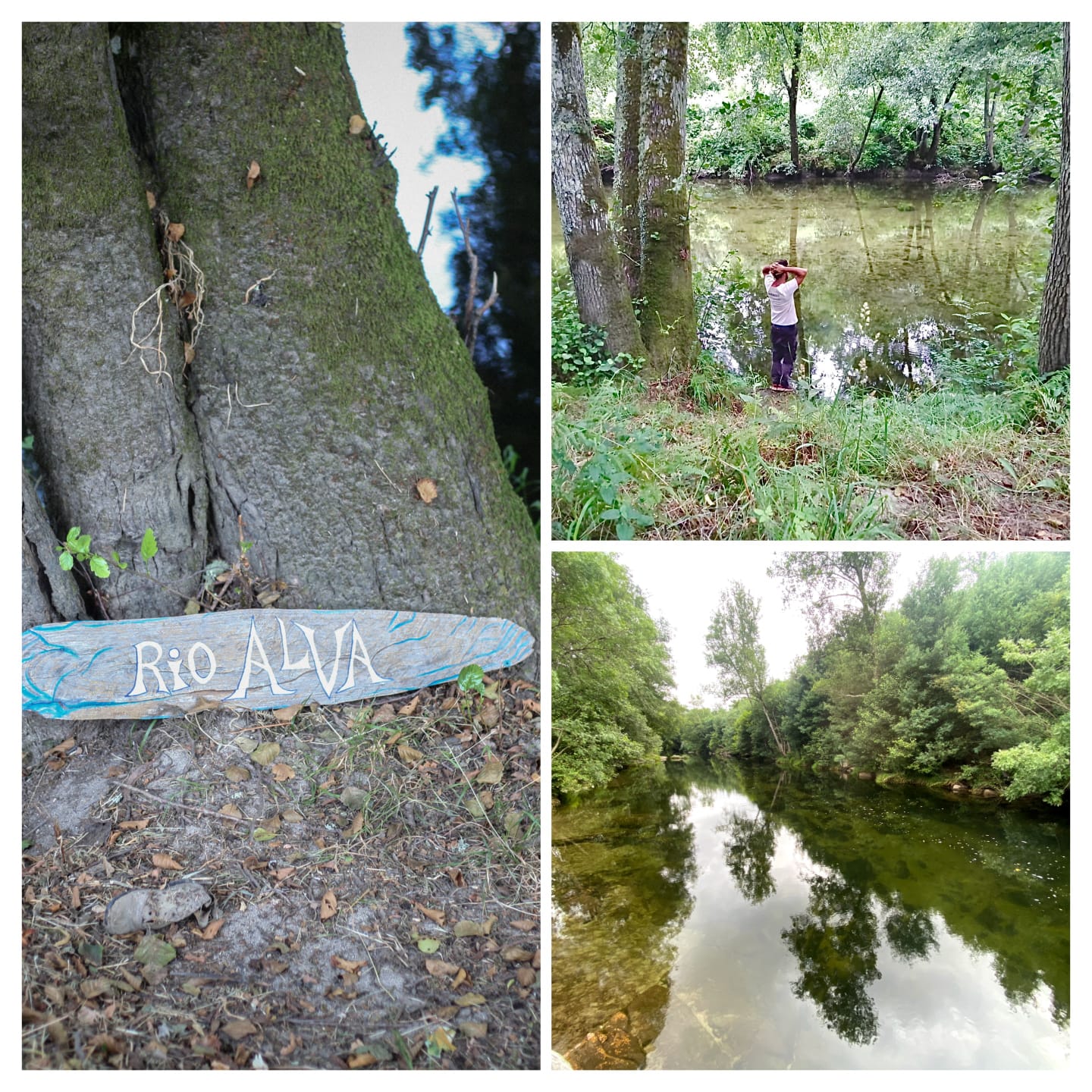 Naturhäuschen in Ponte das Tres Entradas