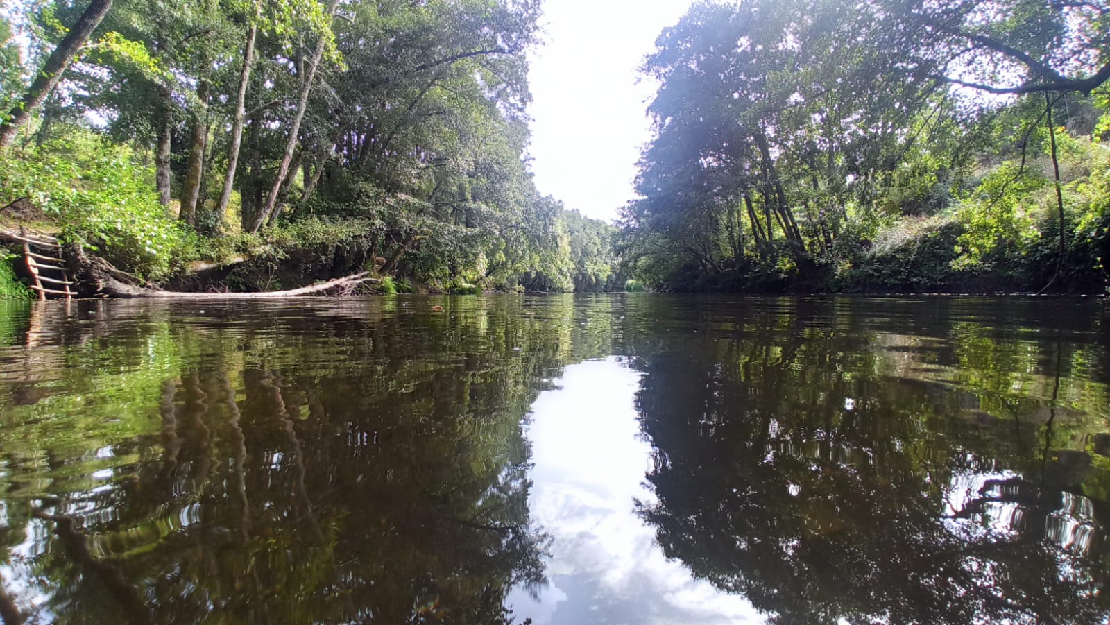 Natuurhuisje in Ponte das Tres Entradas