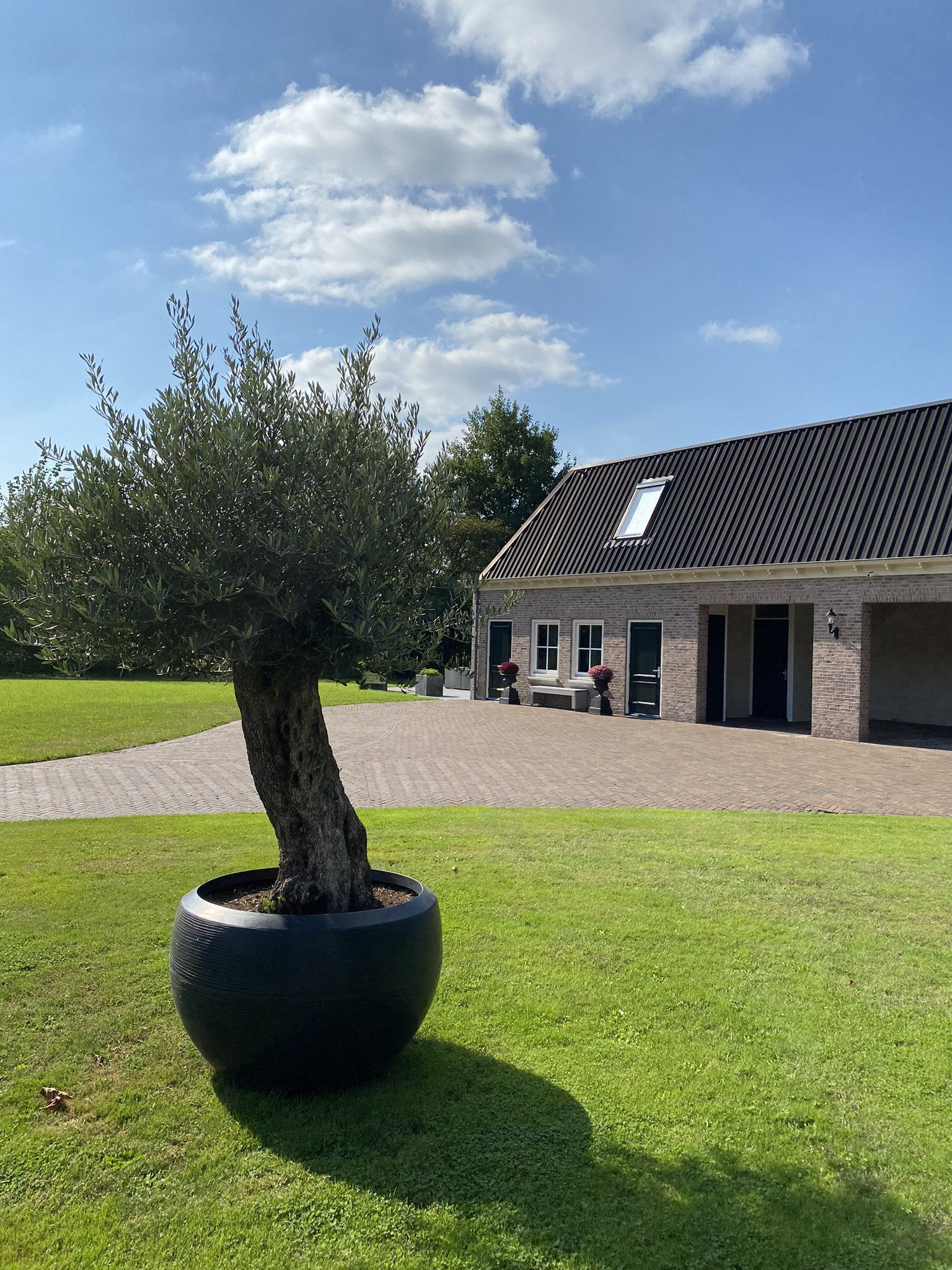 Nature house in Ambt Delden