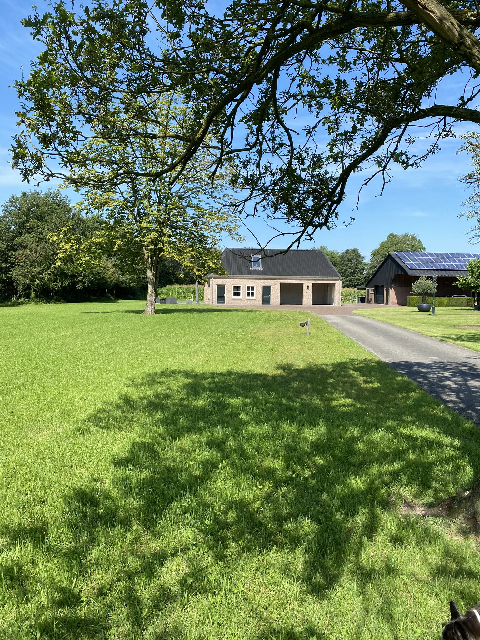 Naturhäuschen in Ambt Delden