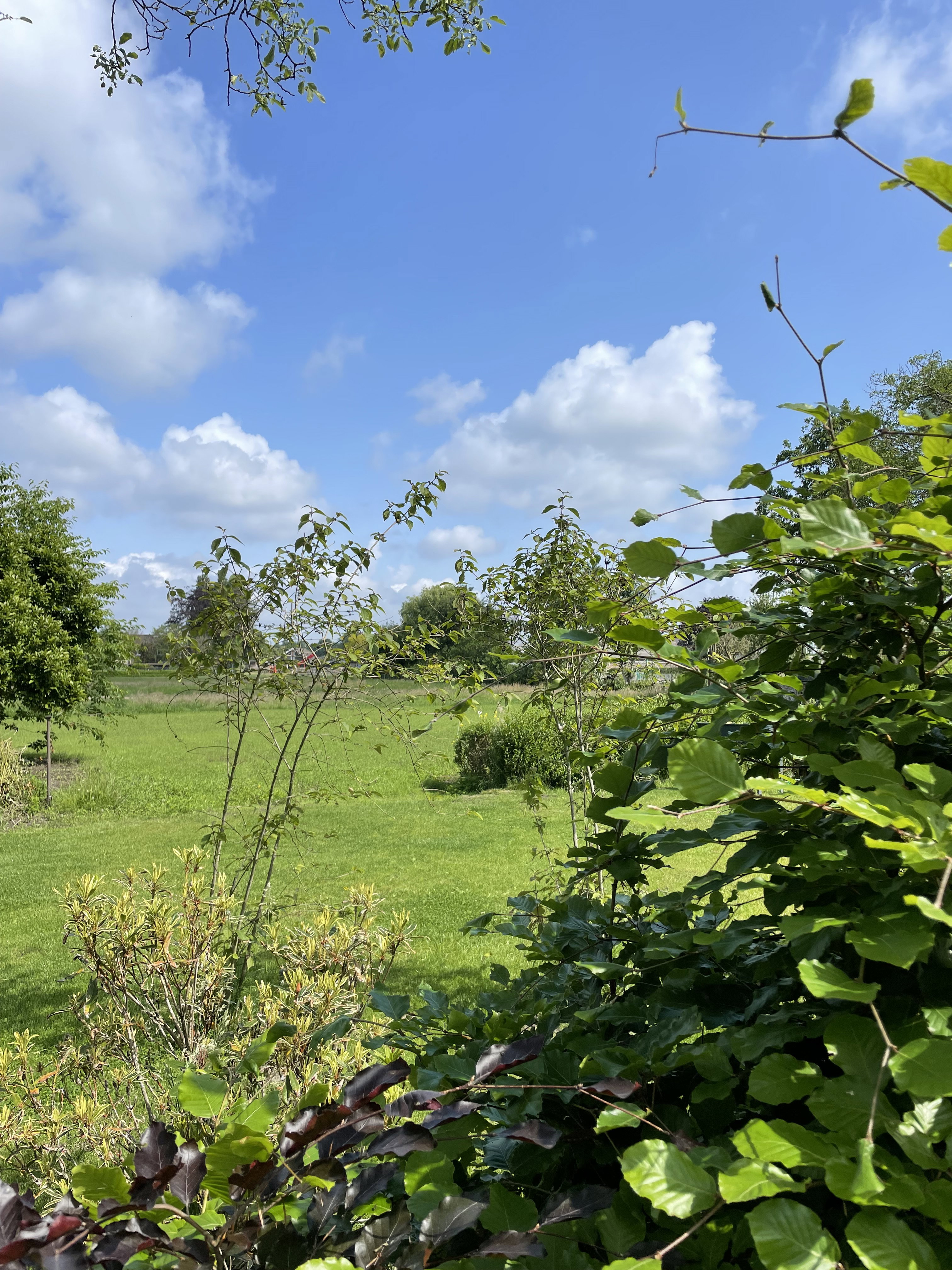 Naturhäuschen in Heeze