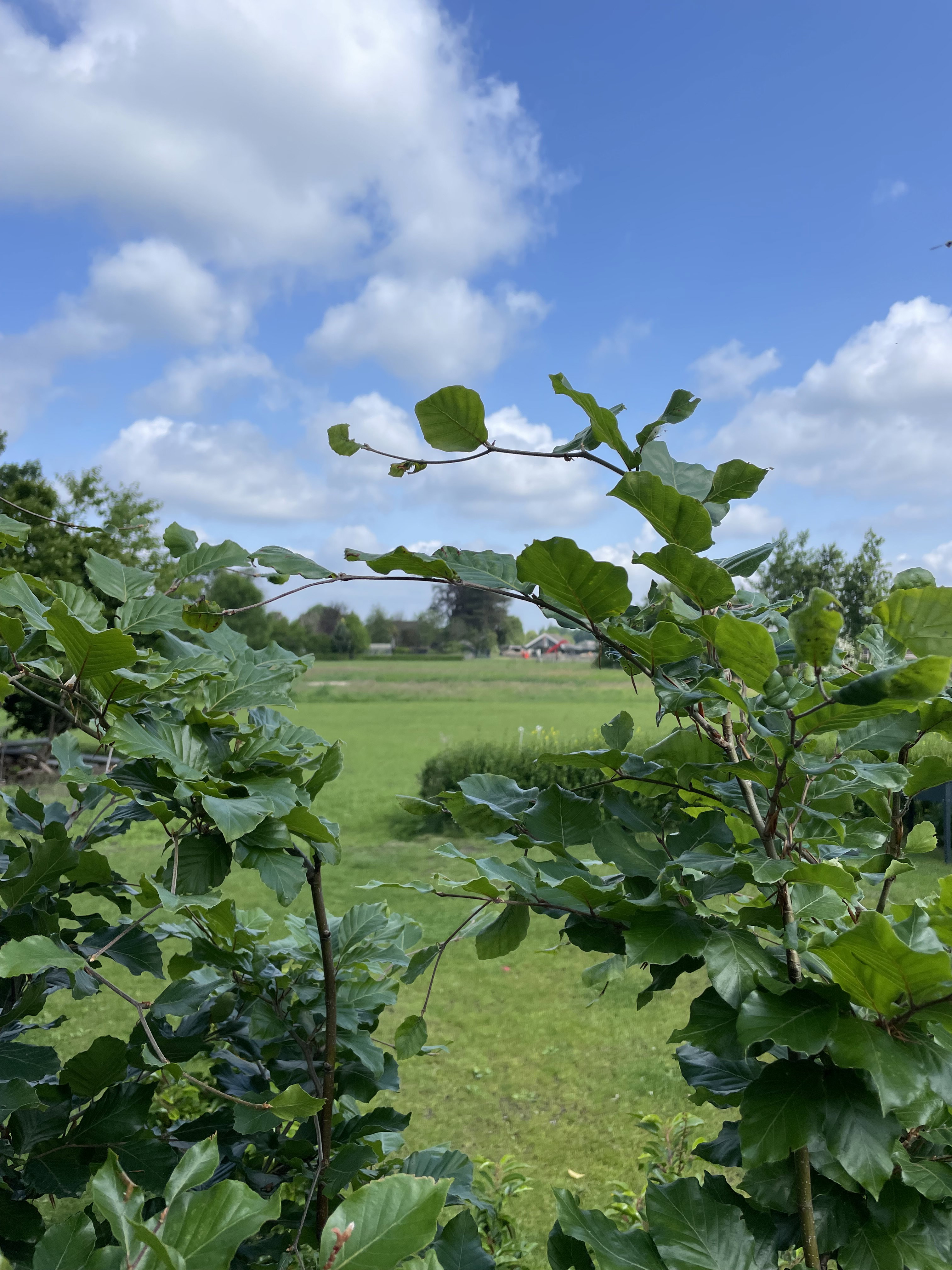 Naturhäuschen in Heeze