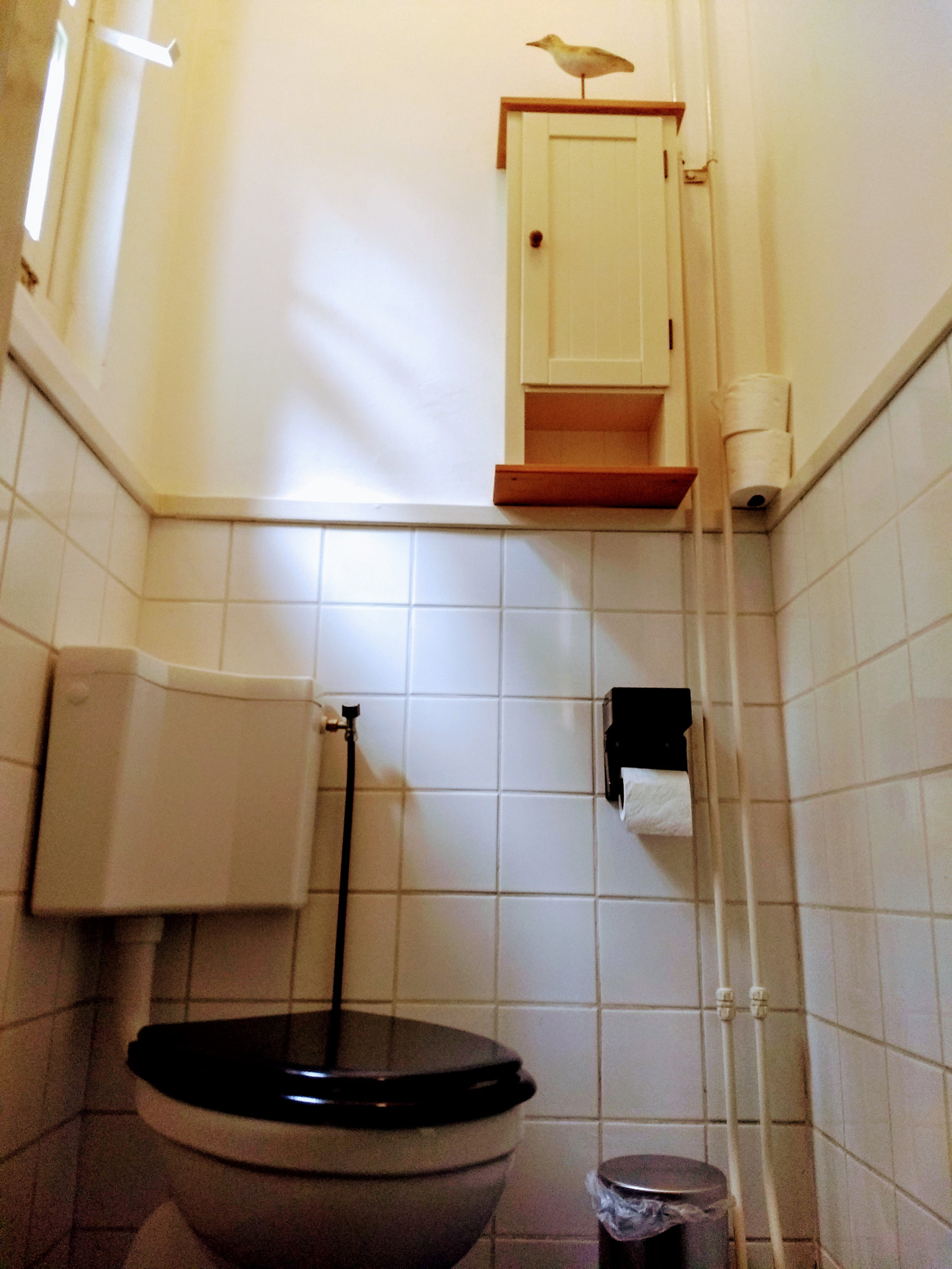 - image: 41