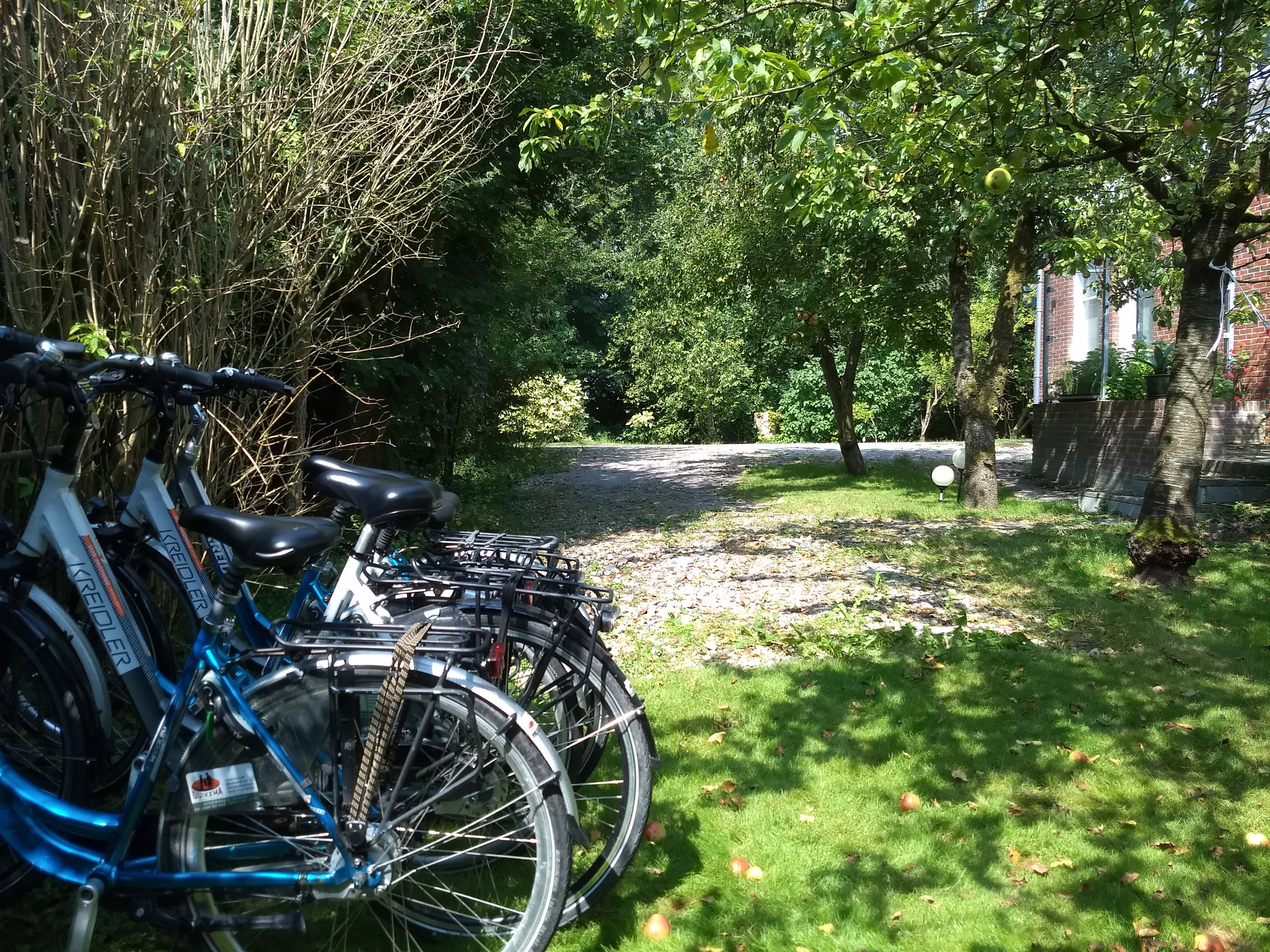 Natuurhuisje in Zoutkamp