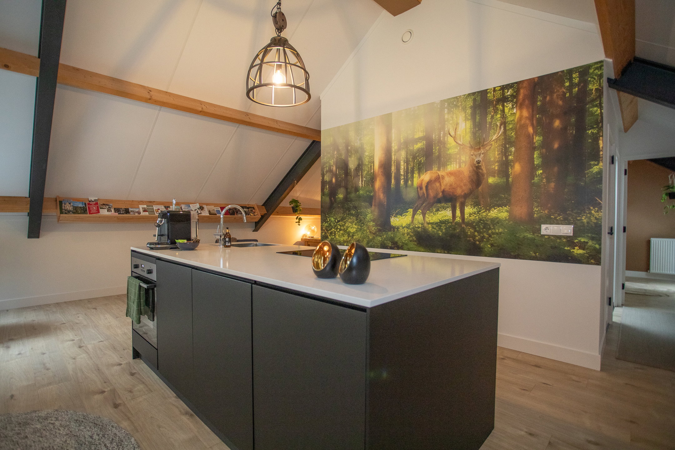 Casa nella natura a Bornerbroek