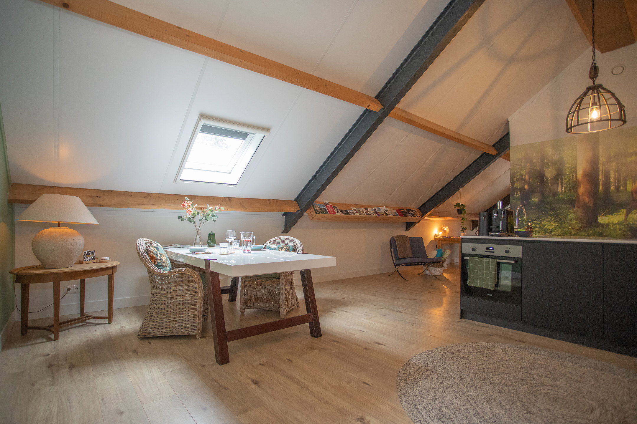 Casa nella natura a Bornerbroek