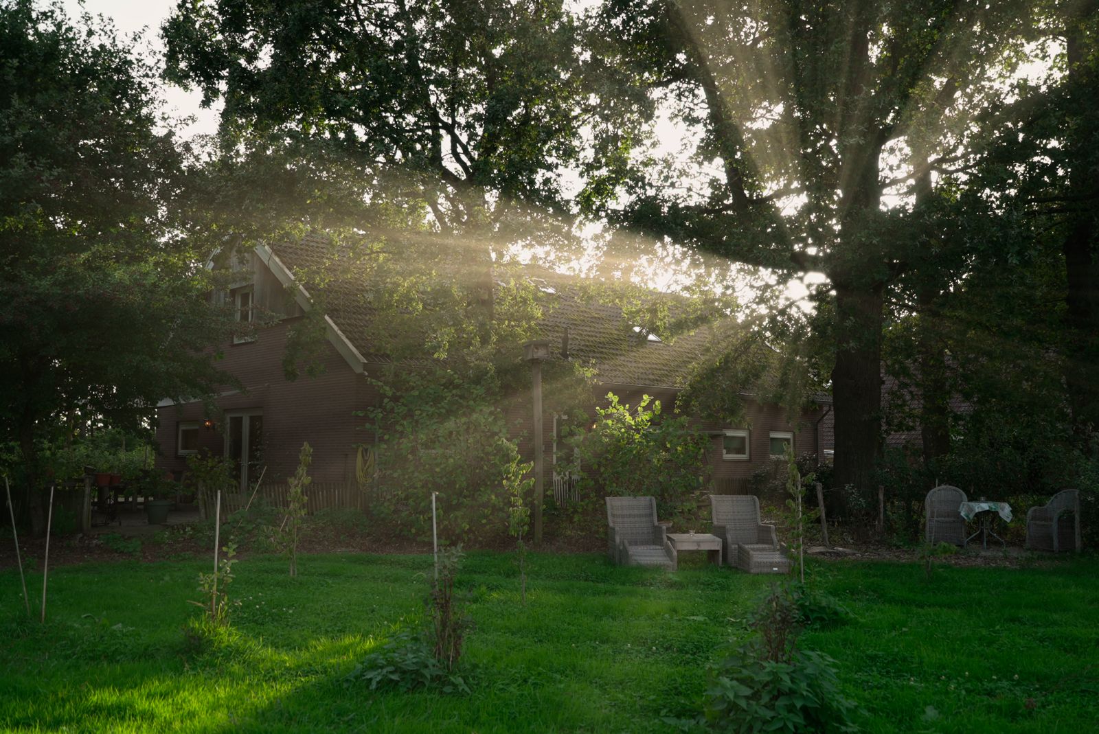 Nature house in Bornerbroek