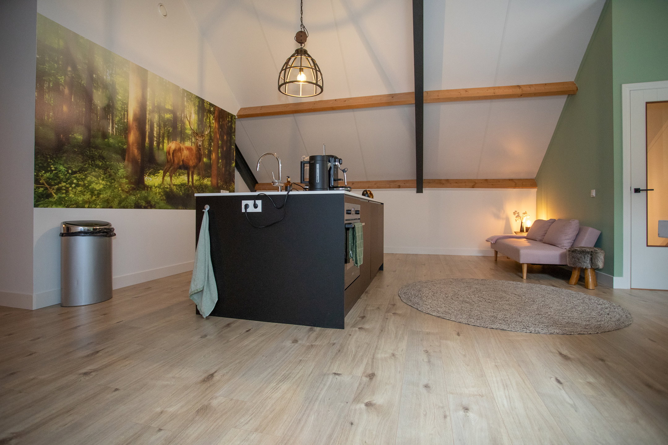 Casa nella natura a Bornerbroek