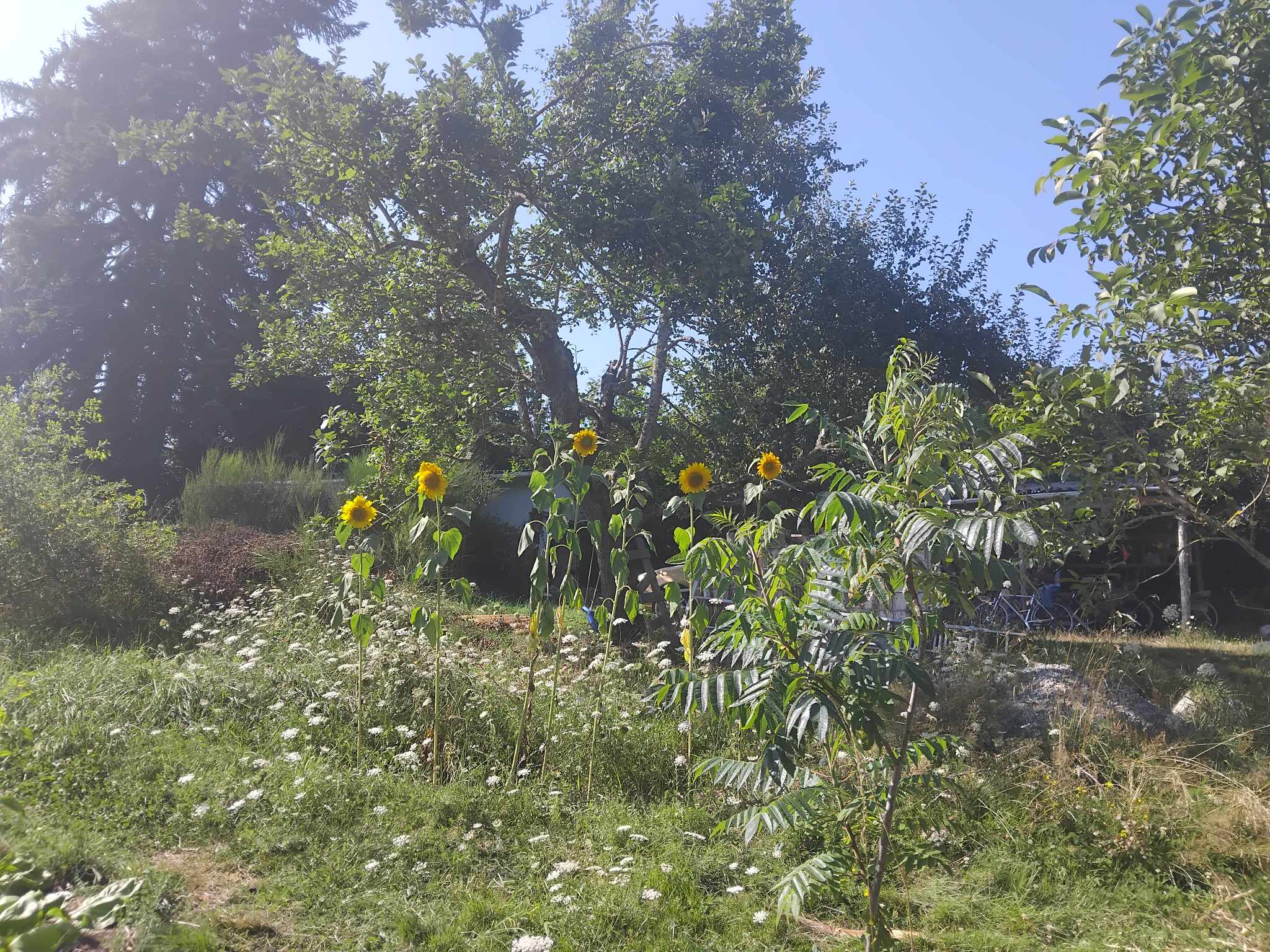 Natuurhuisje in Trois-Fonds