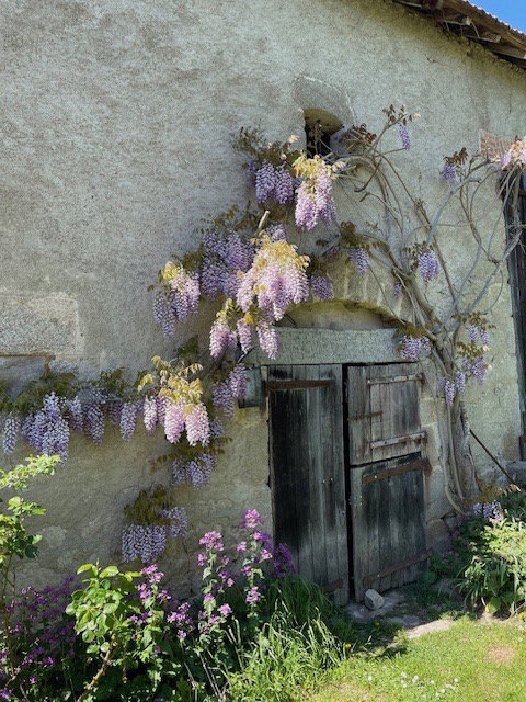 - image: 41
