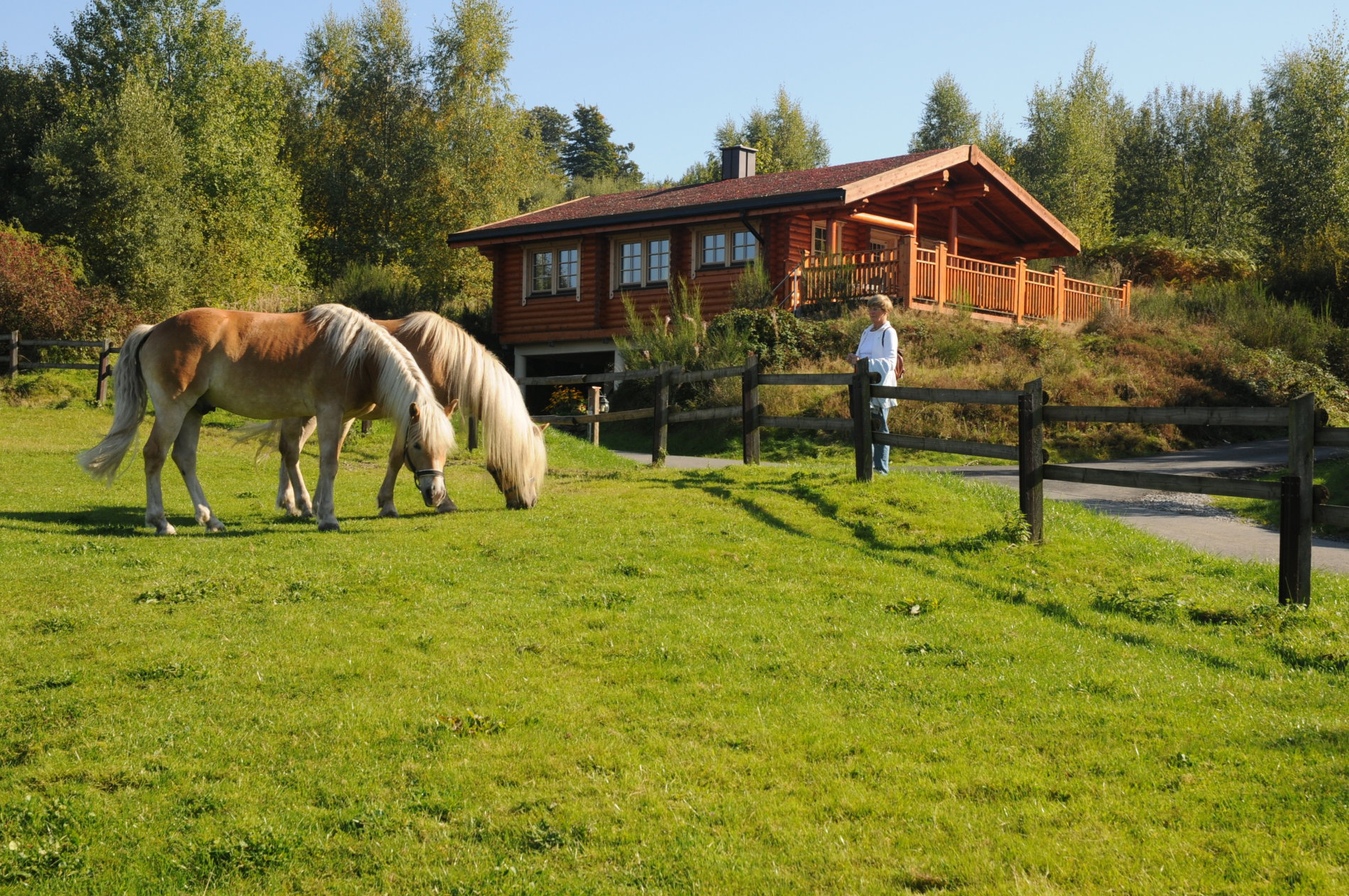 Naturhäuschen in Arnsberg