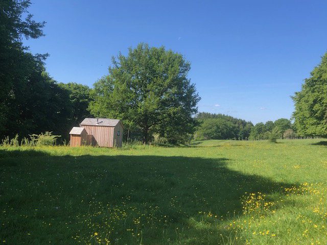 - image: 12
