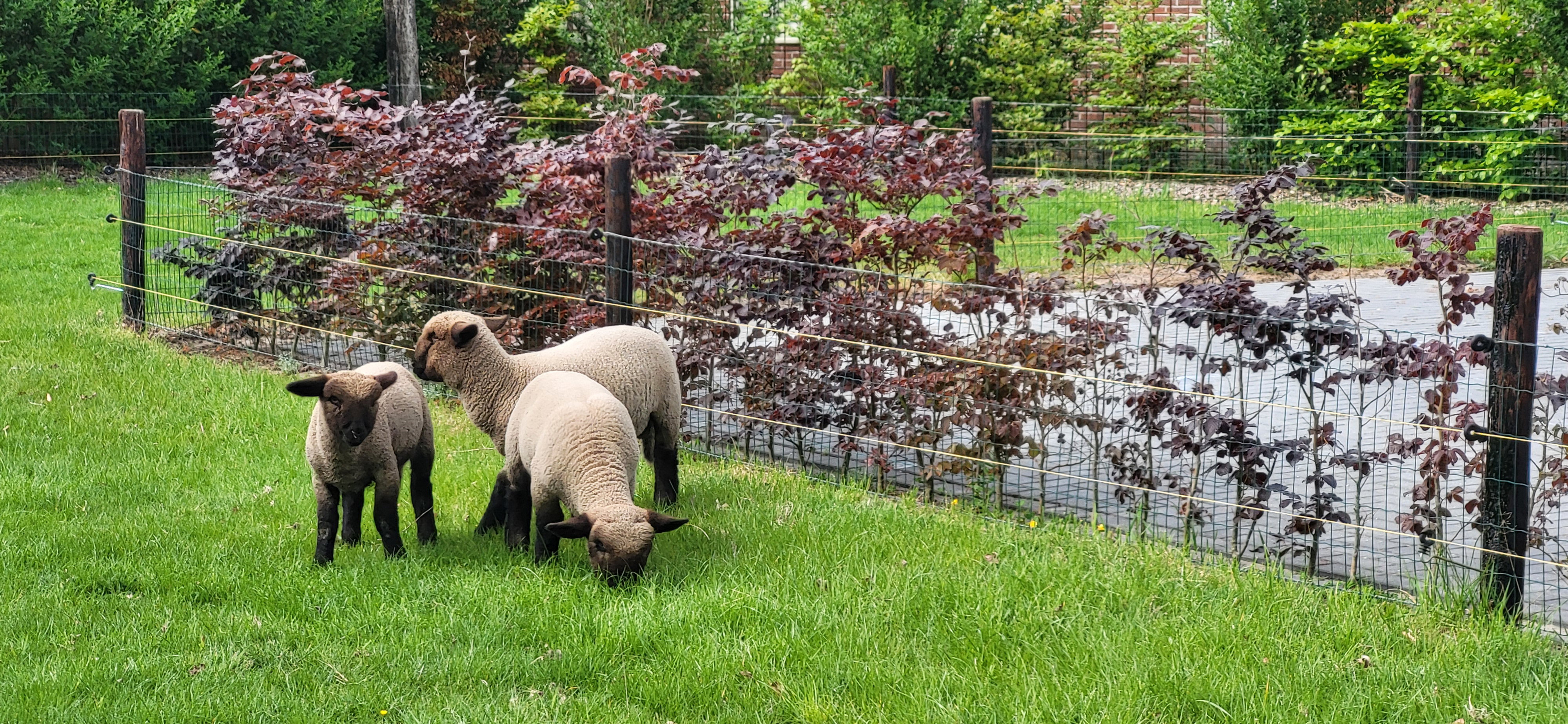 Natuurhuisje in Haarle
