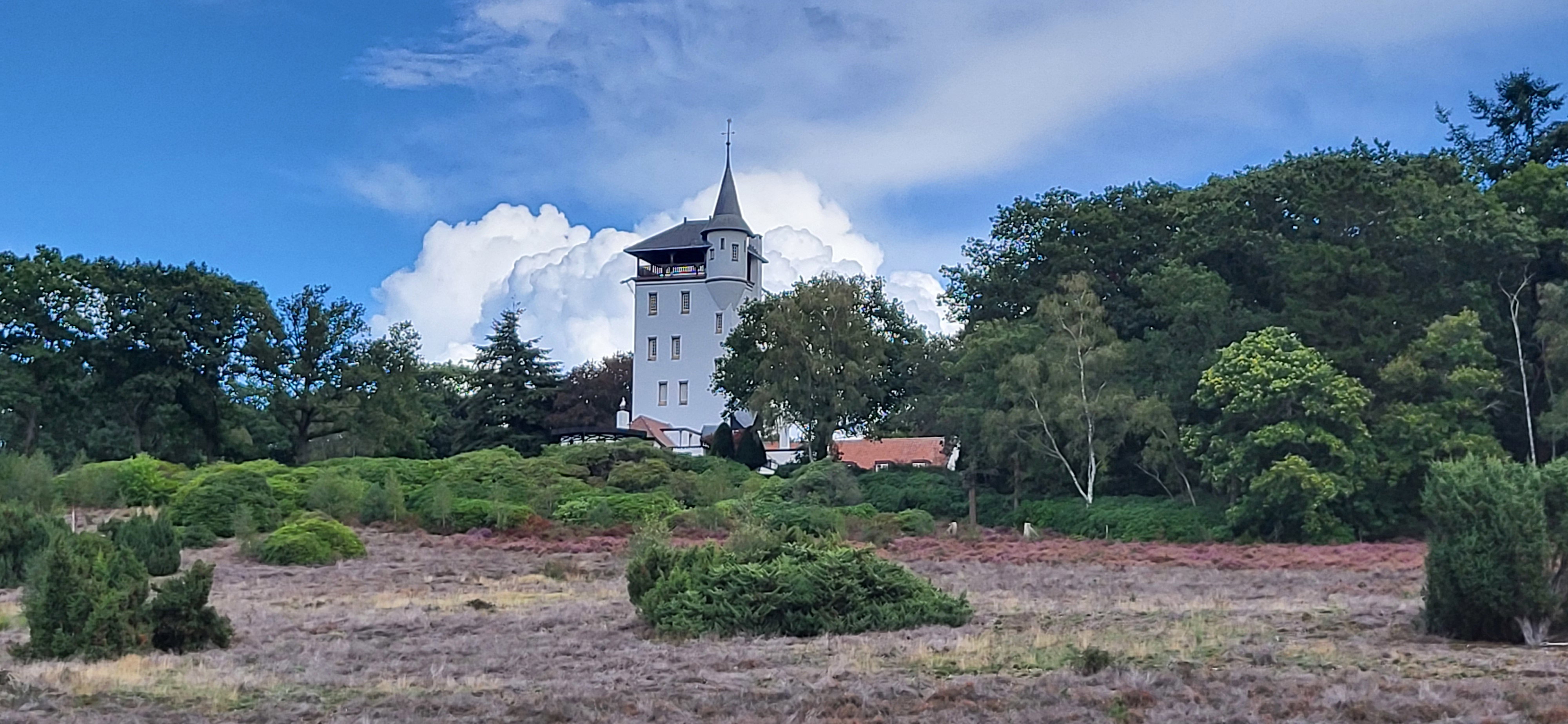 - image: 16