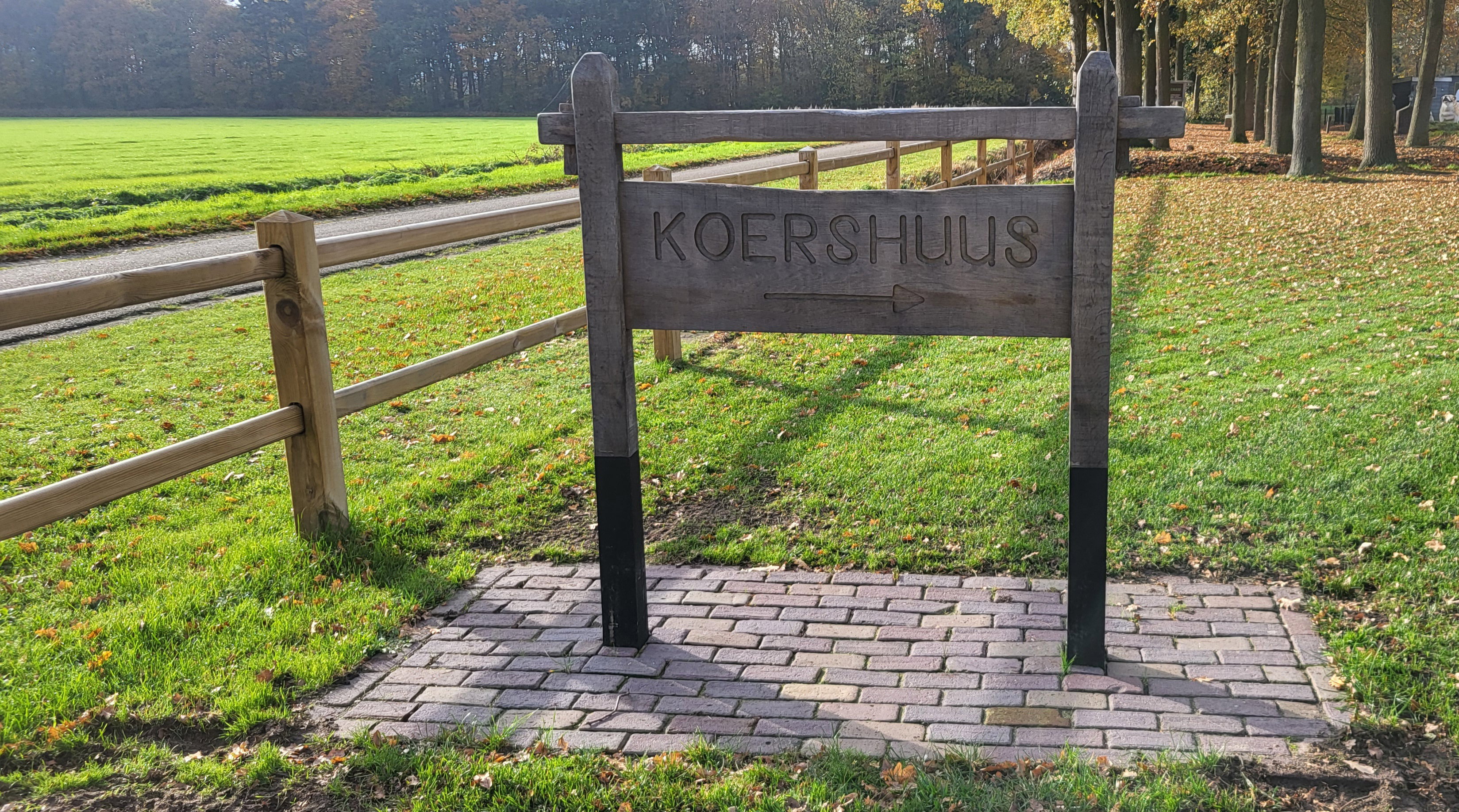 Natuurhuisje in Haarle
