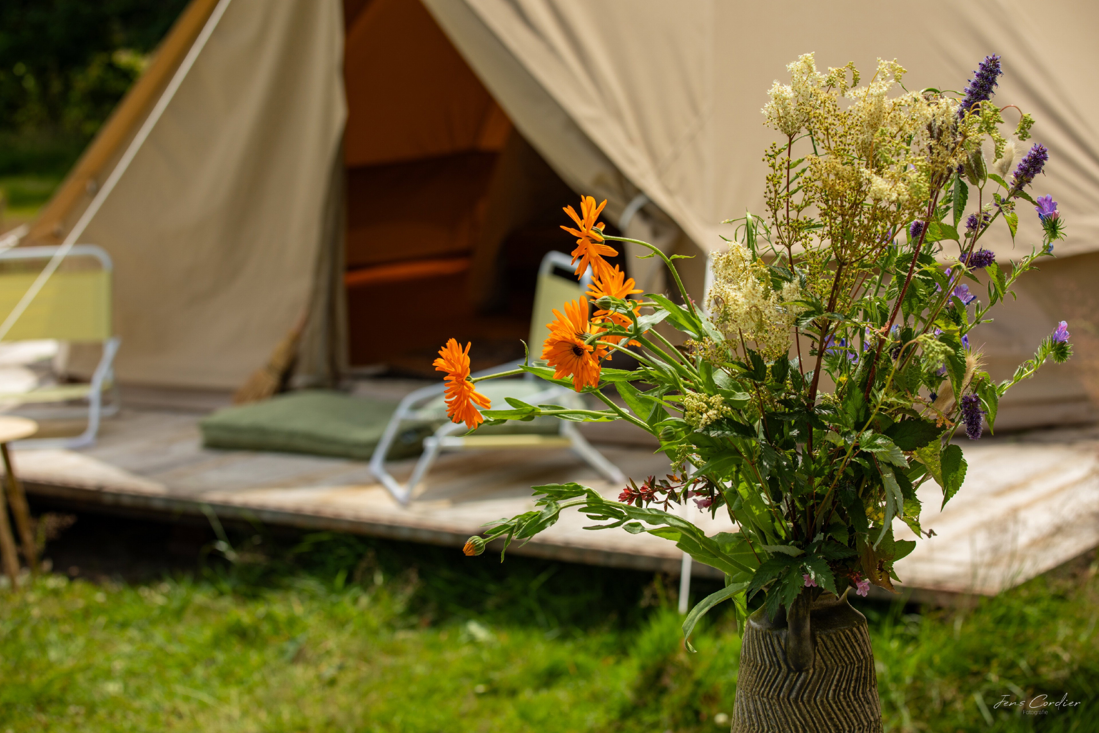 Nature house in Lochem