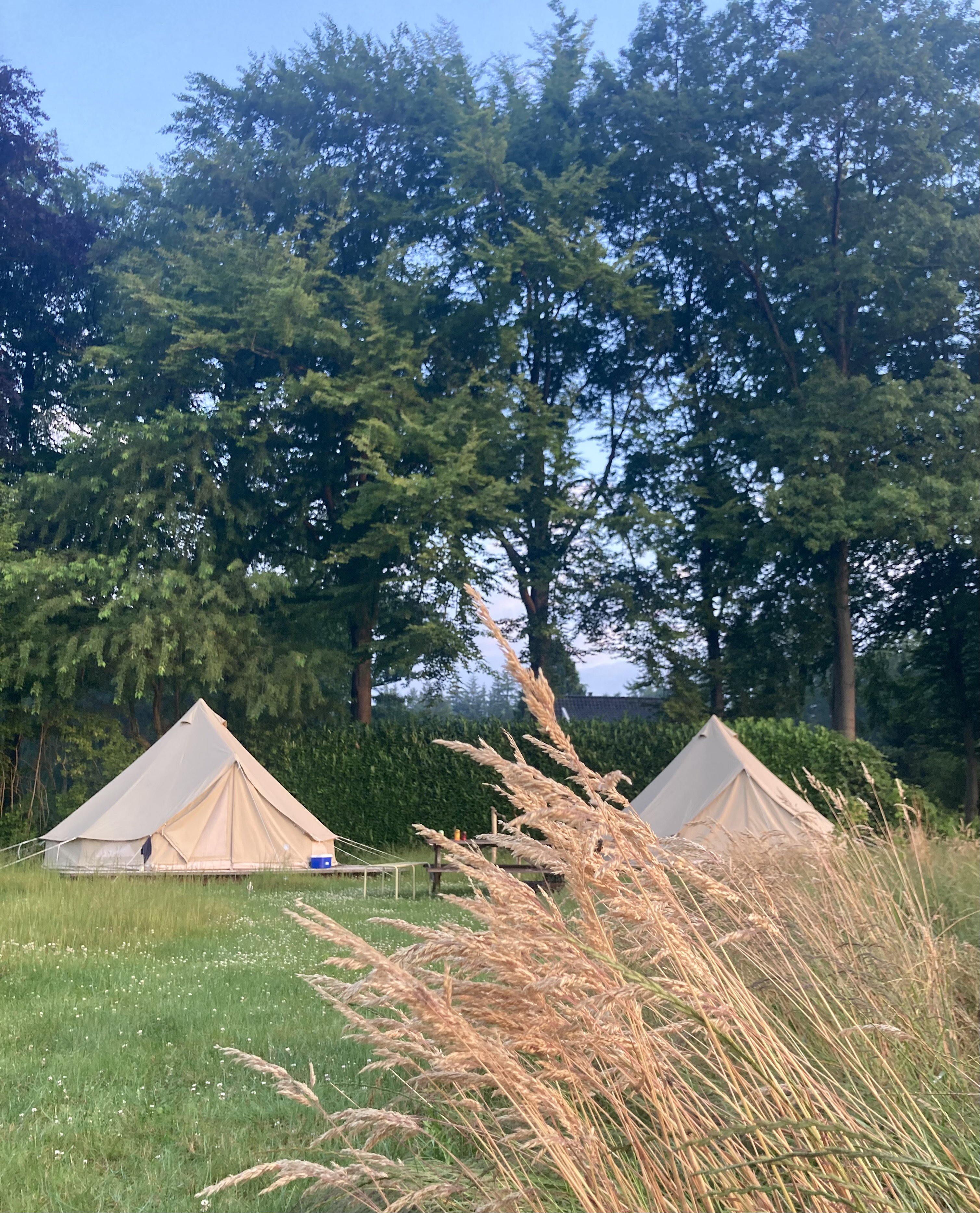 Nature house in Lochem