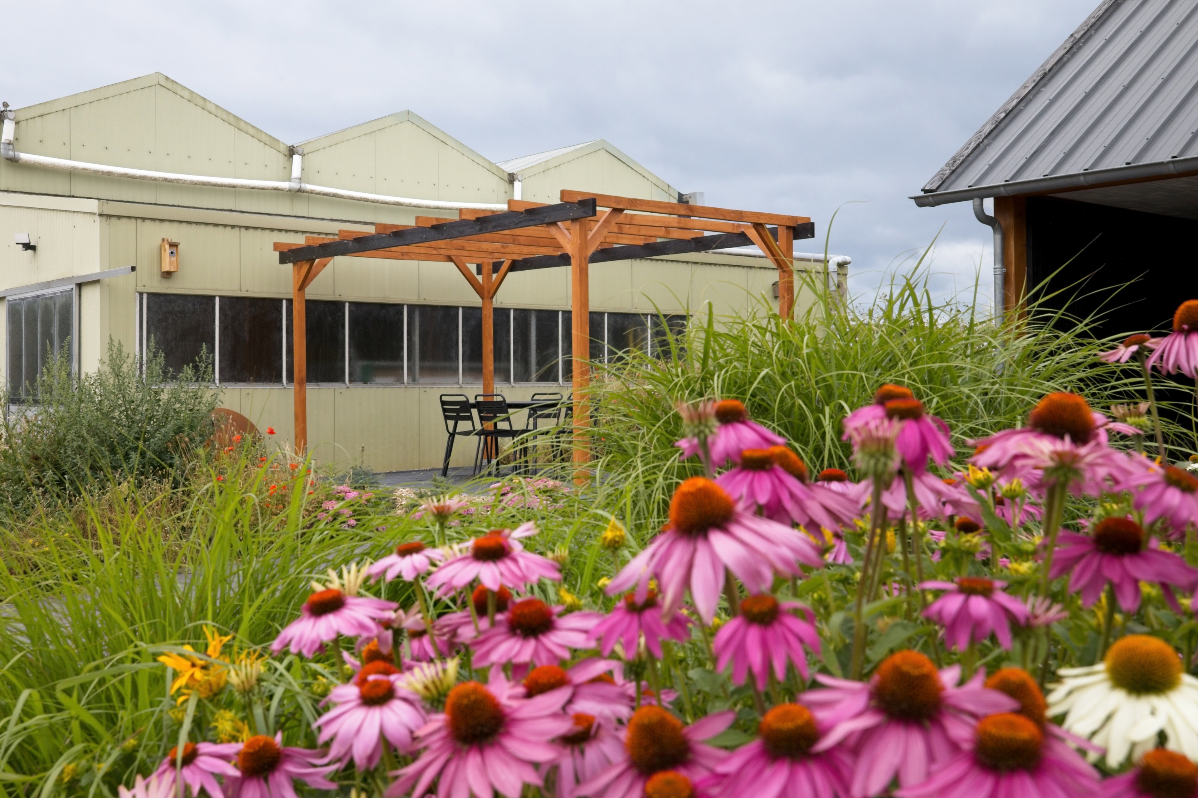 Casa nella natura a Almere