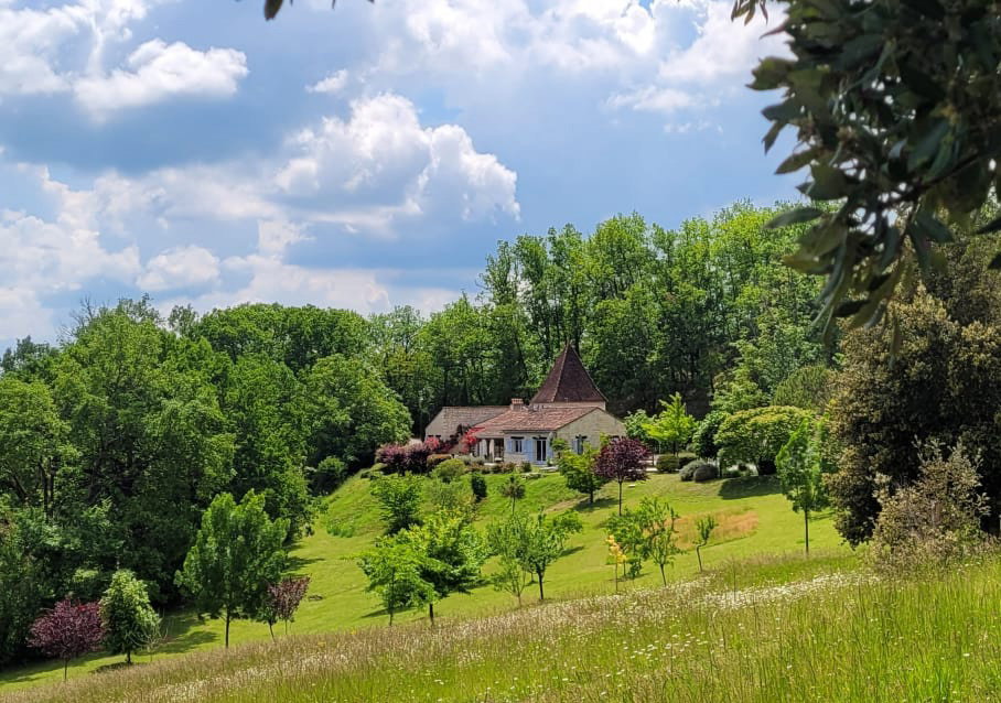 - image: 2