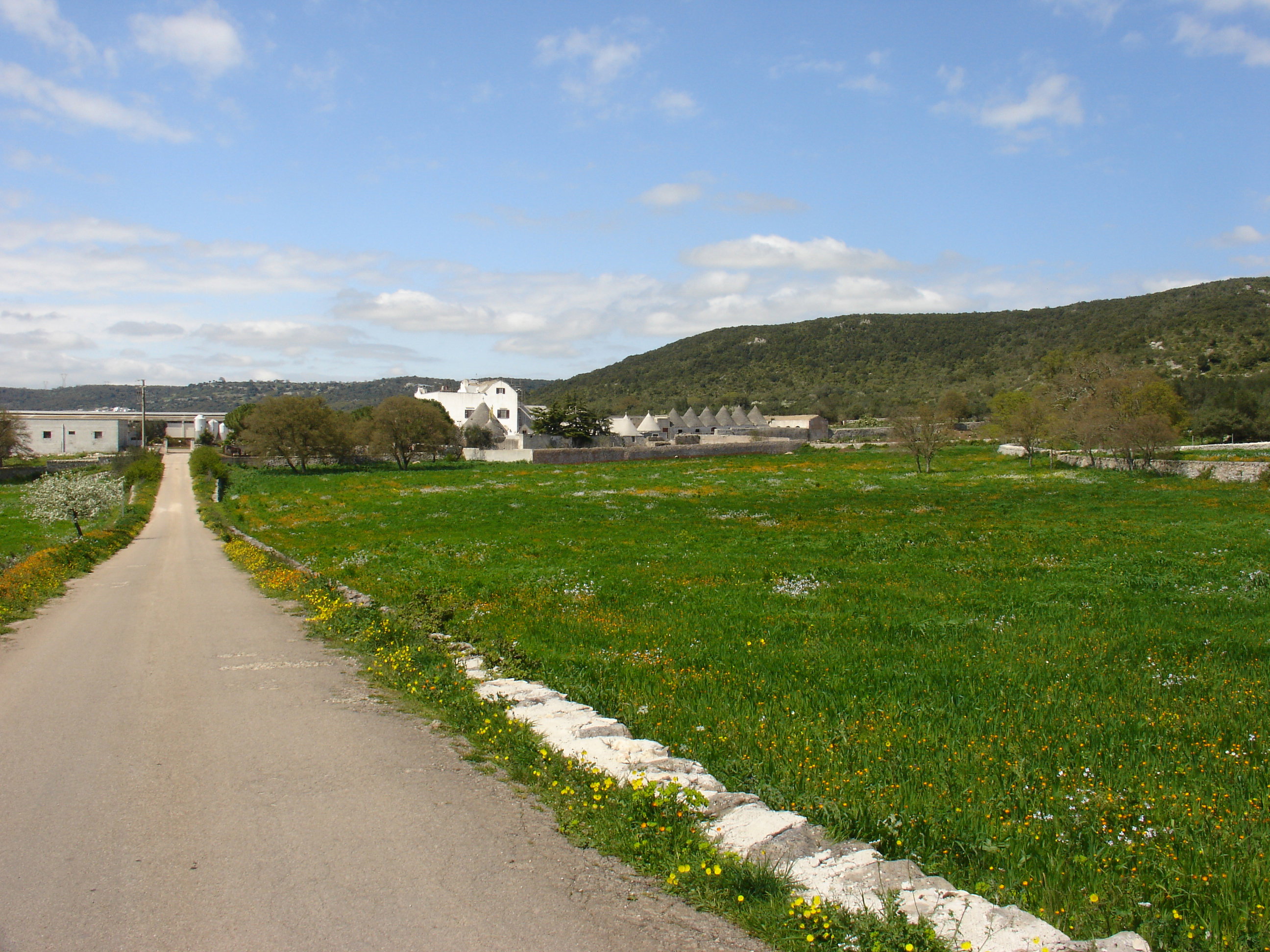 - image: 23
