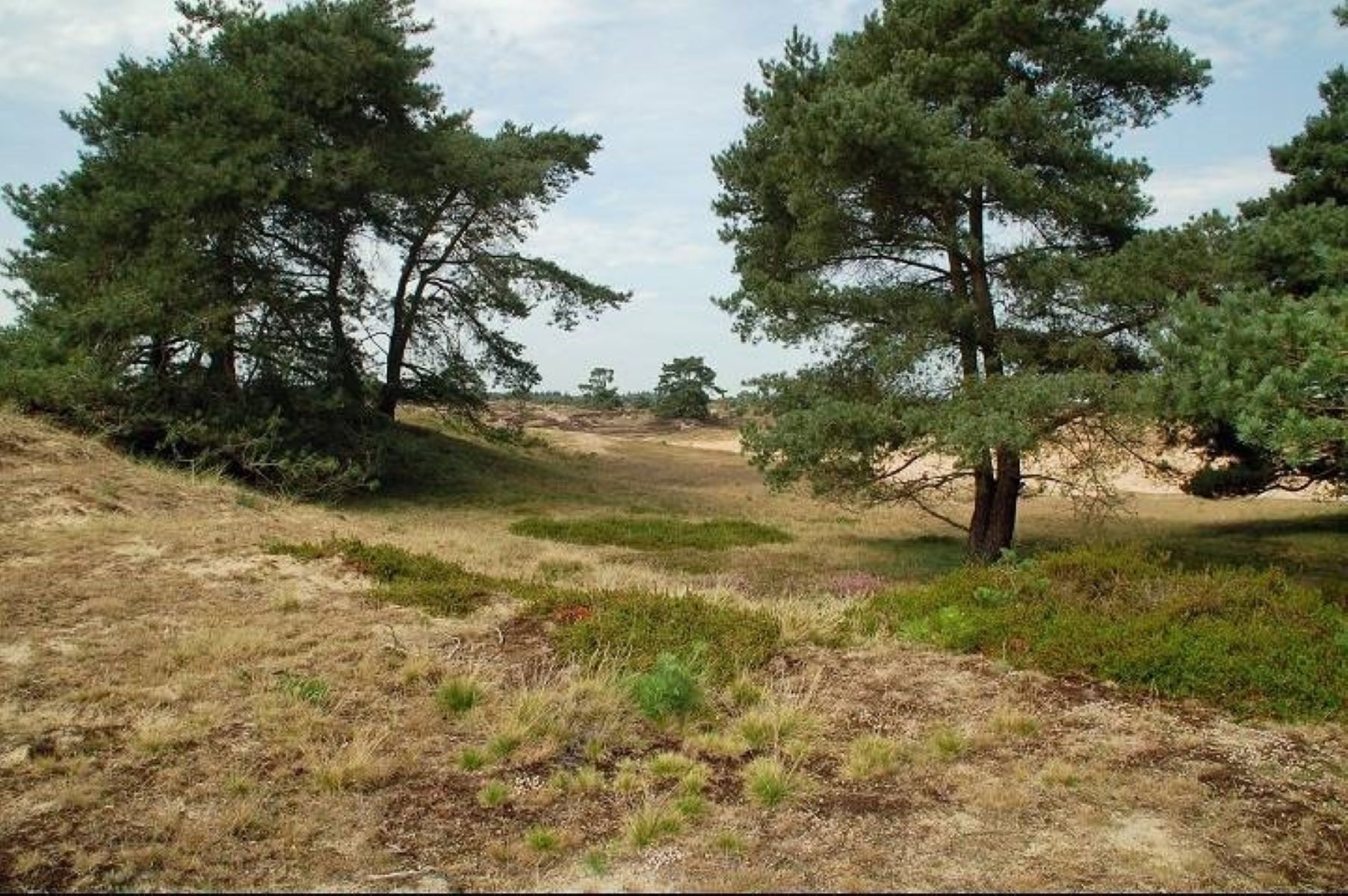 - image: 28