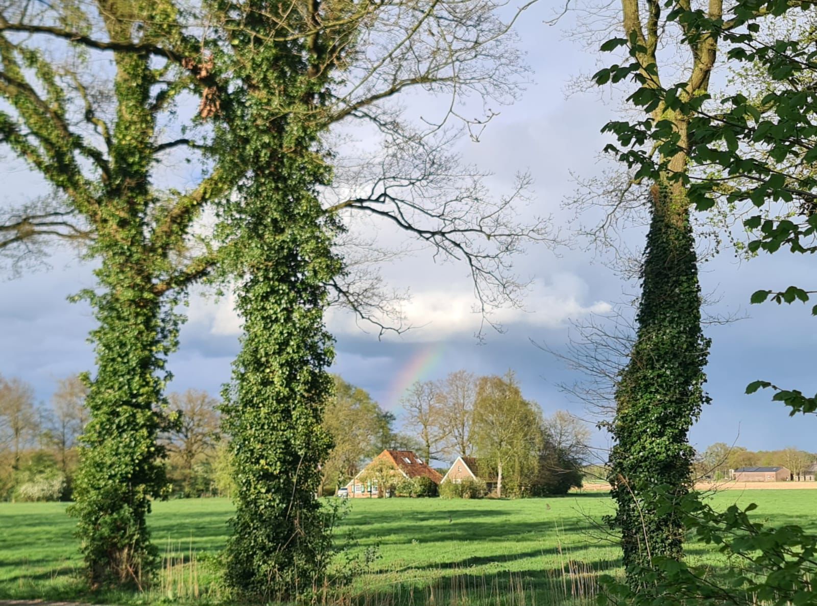 Natuurhuisje in Ruurlo