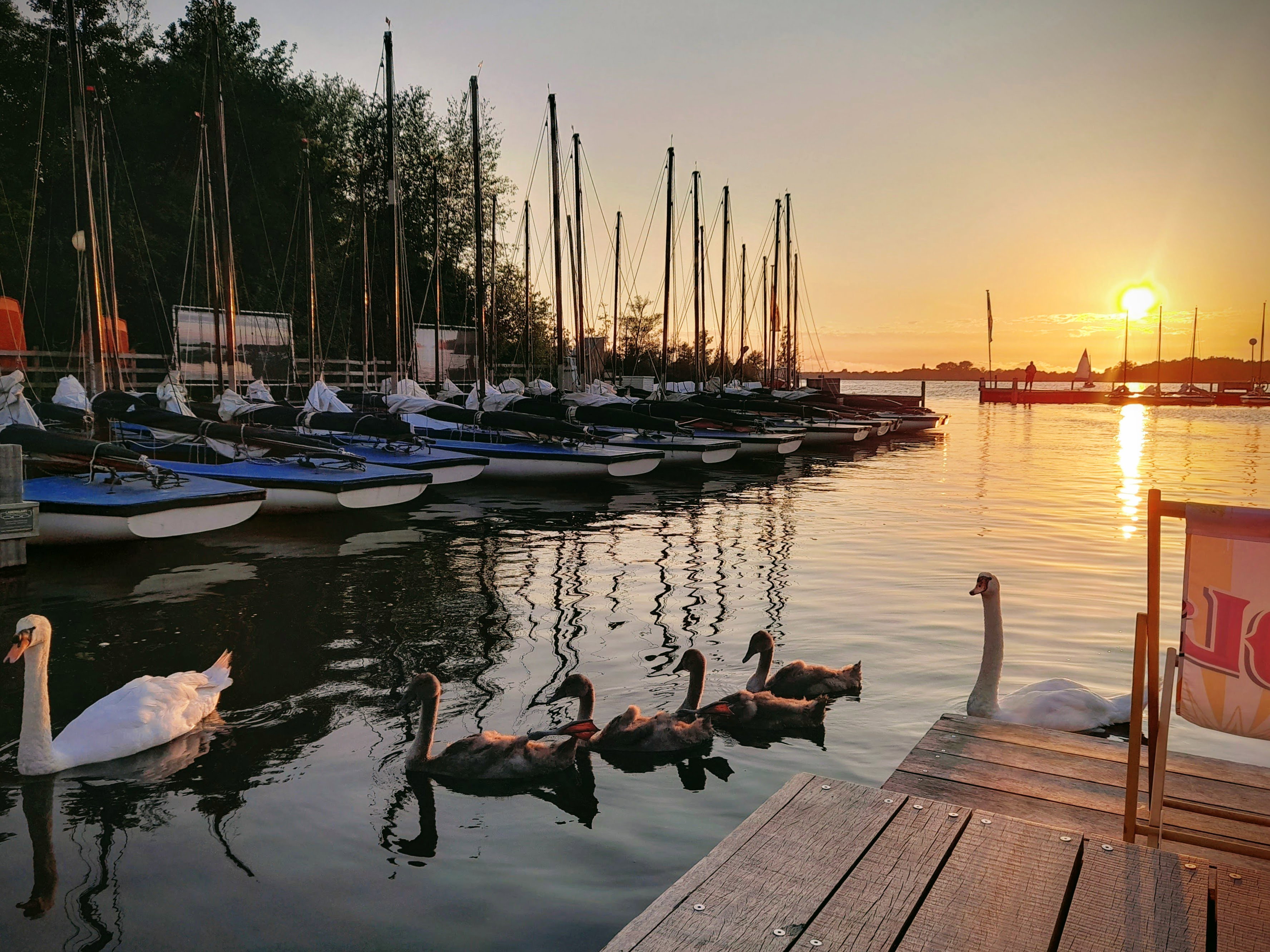 - image: 20
