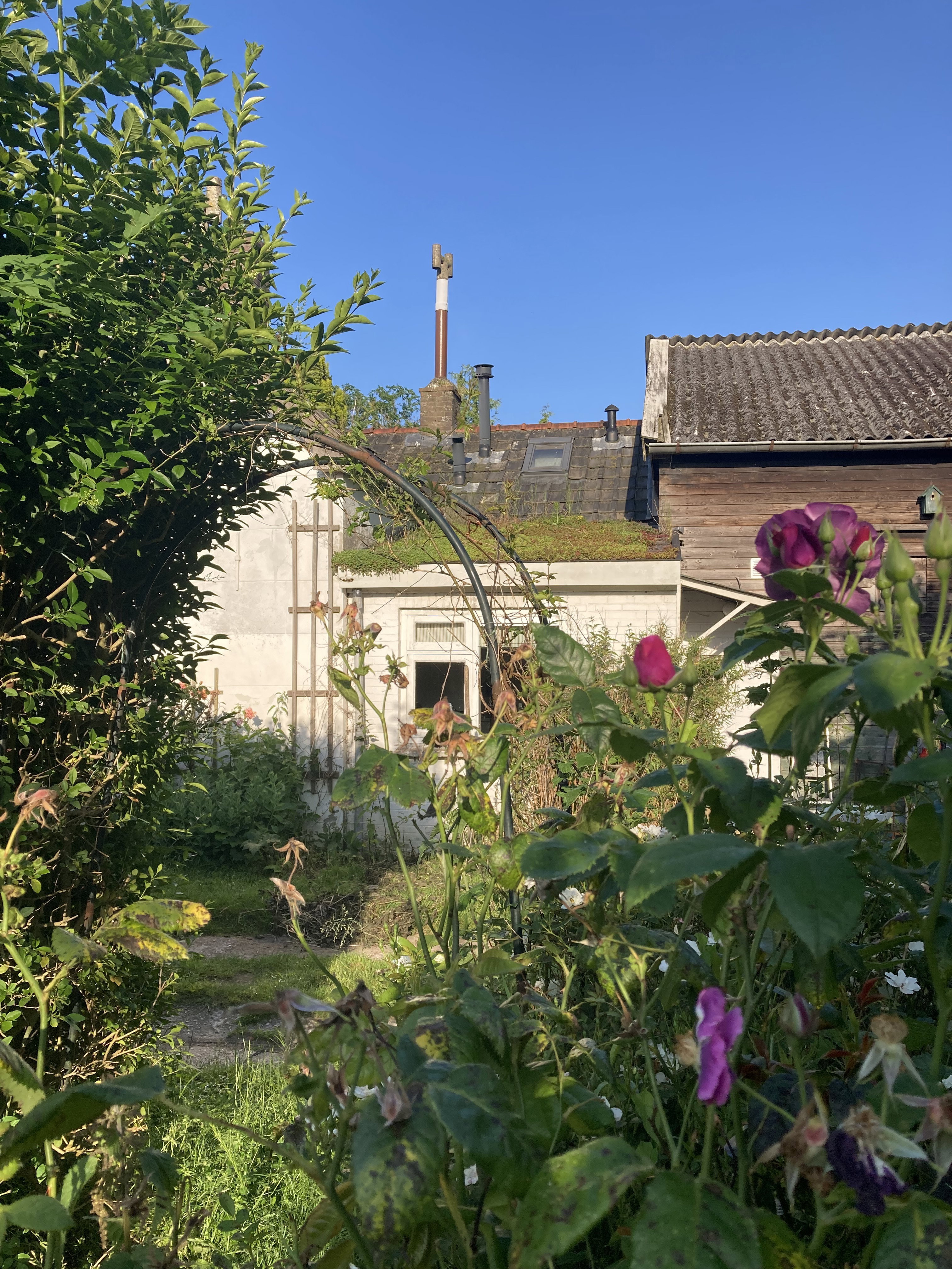 Casa nella natura a Ophemert