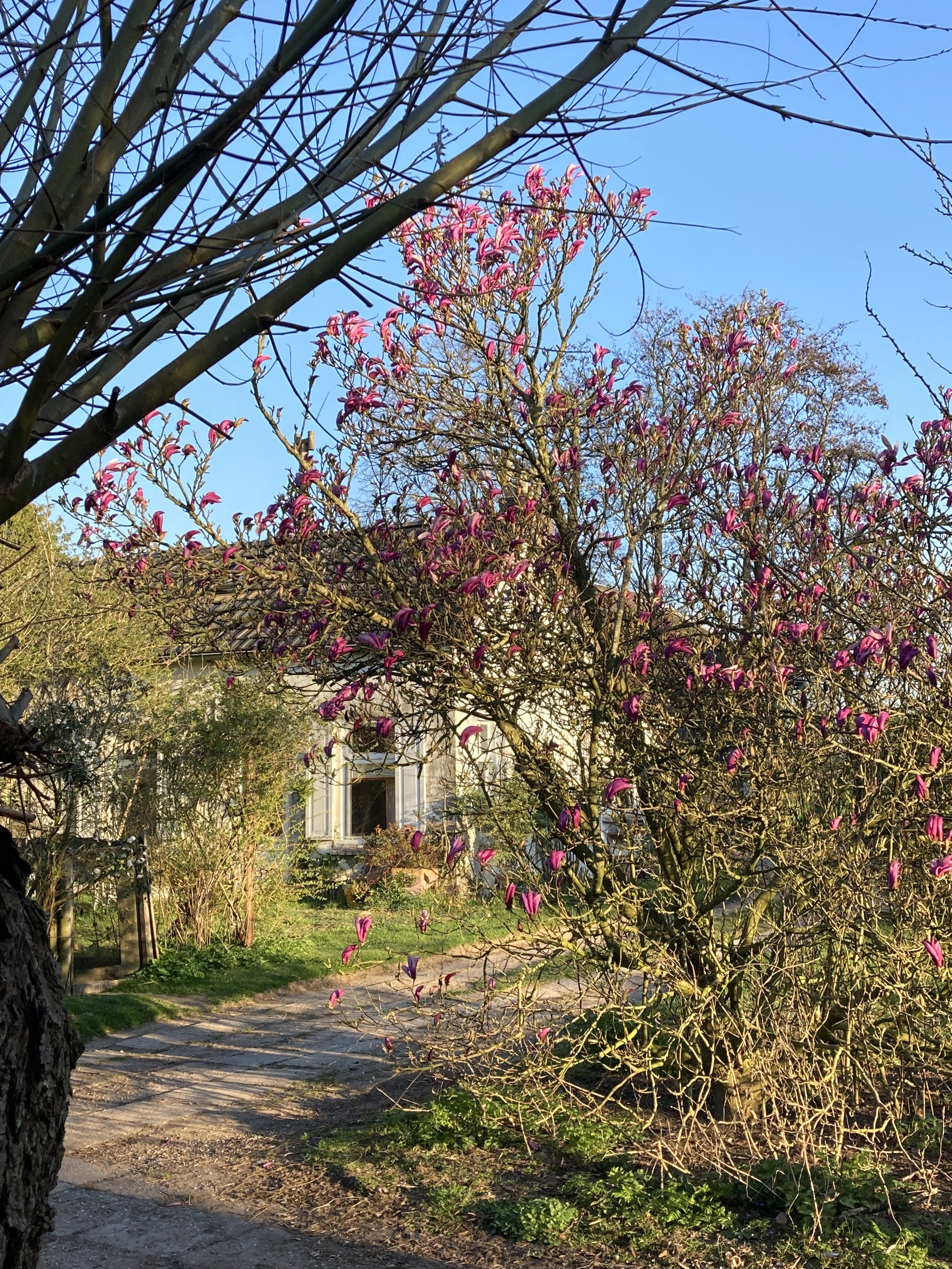 Naturhäuschen in Ophemert