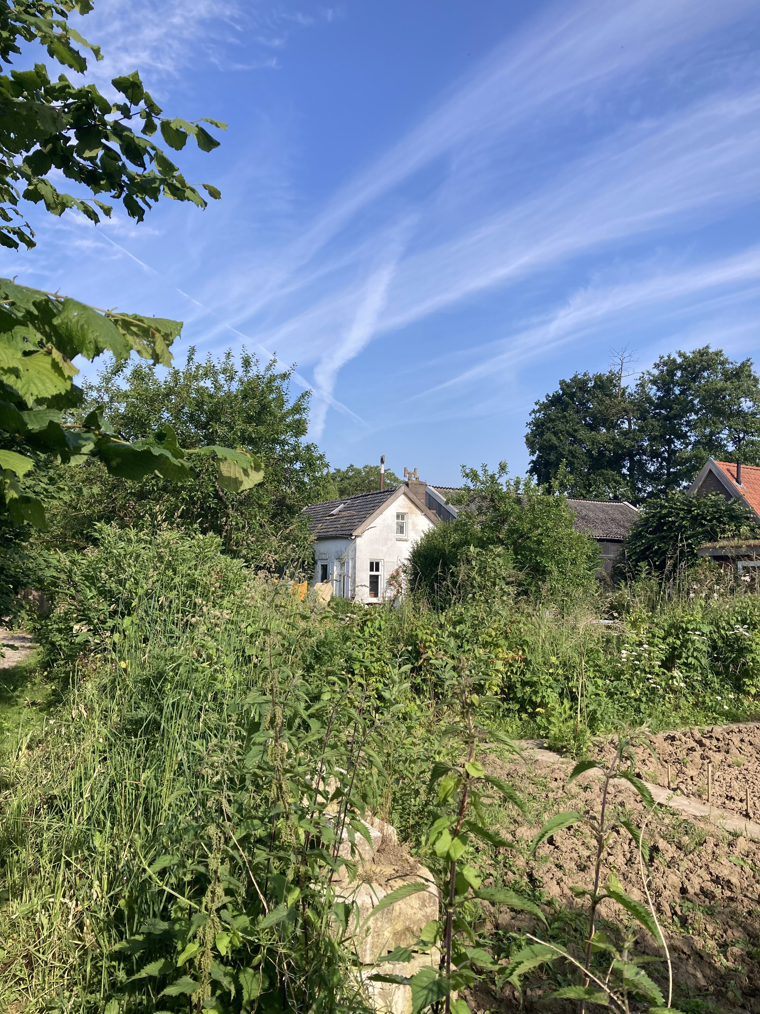 Casa nella natura a Ophemert