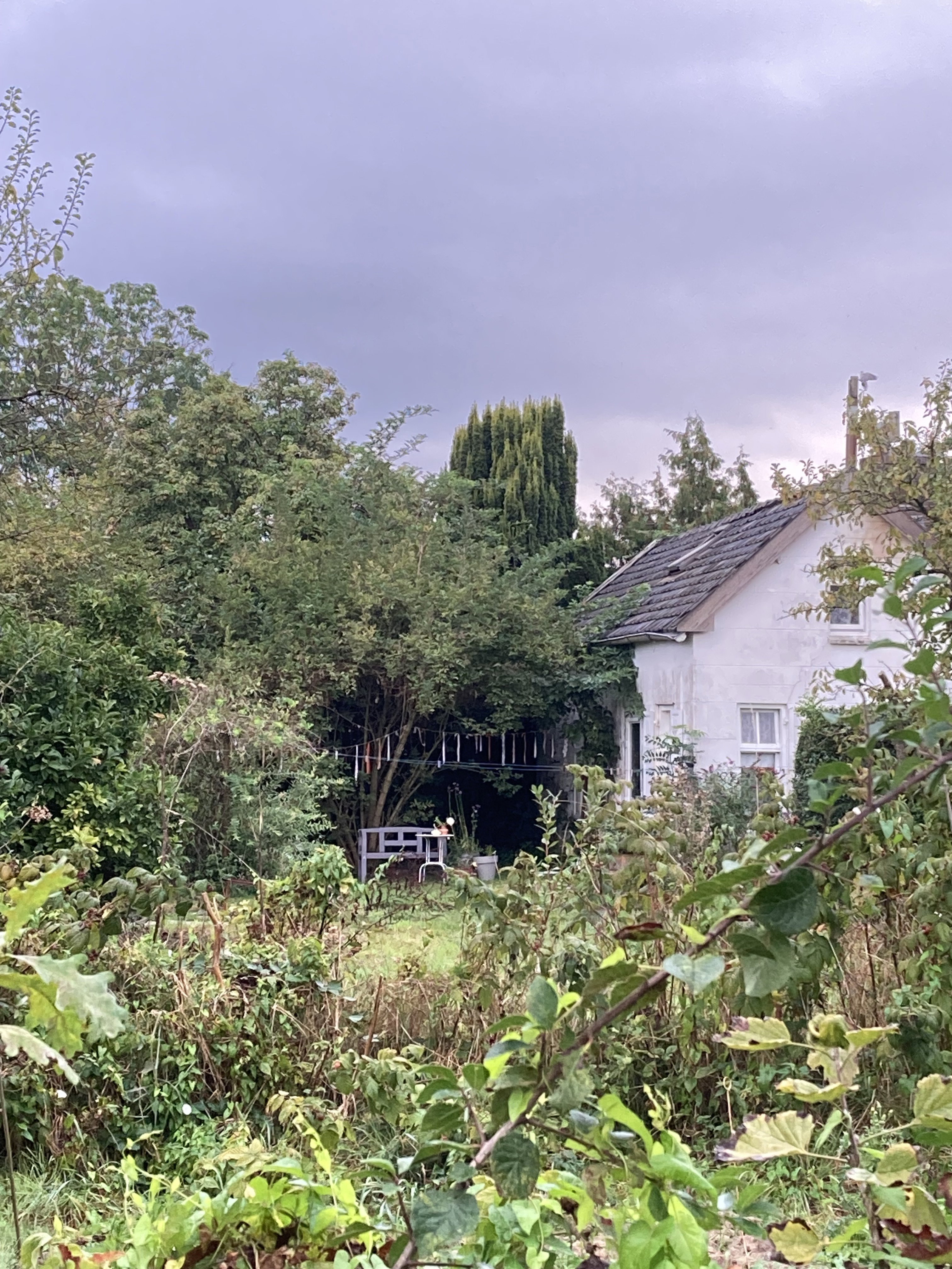 Casa nella natura a Ophemert