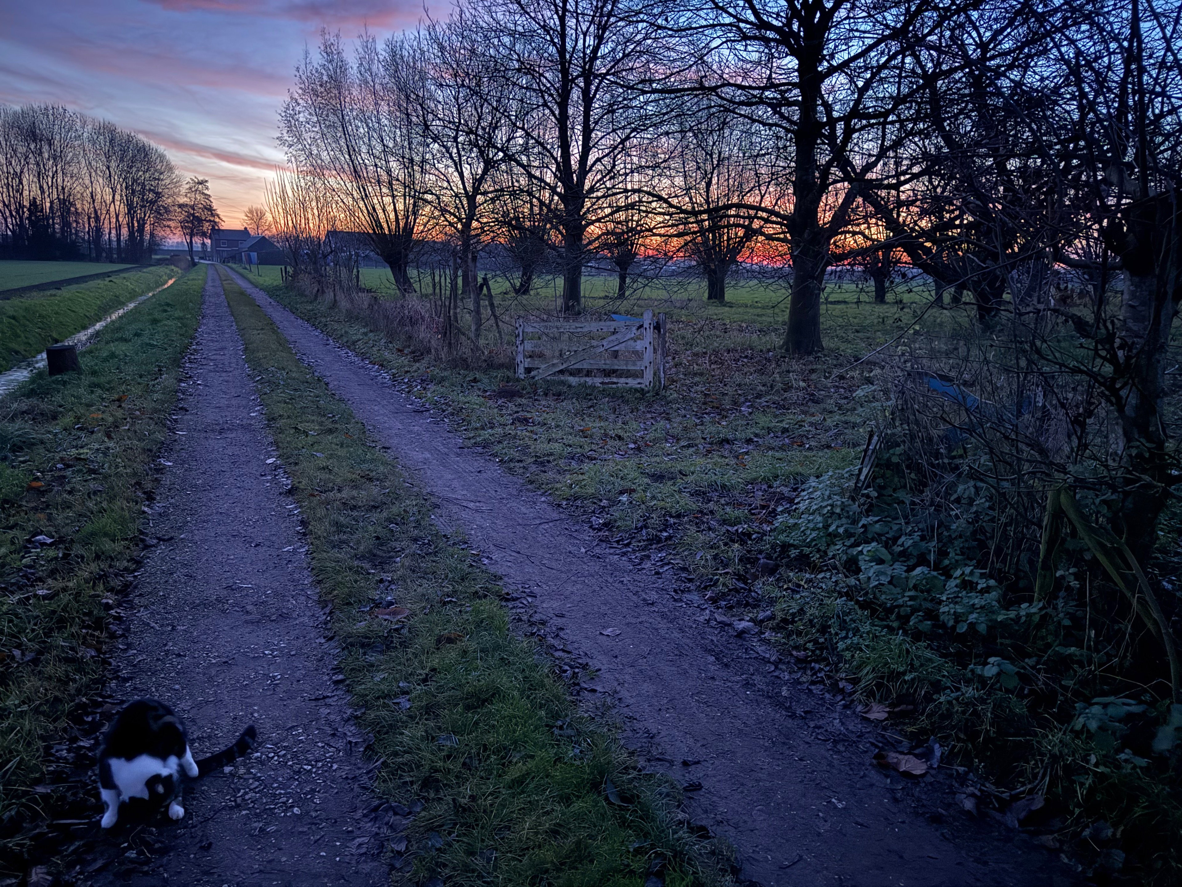 Natuurhuisje in Ophemert