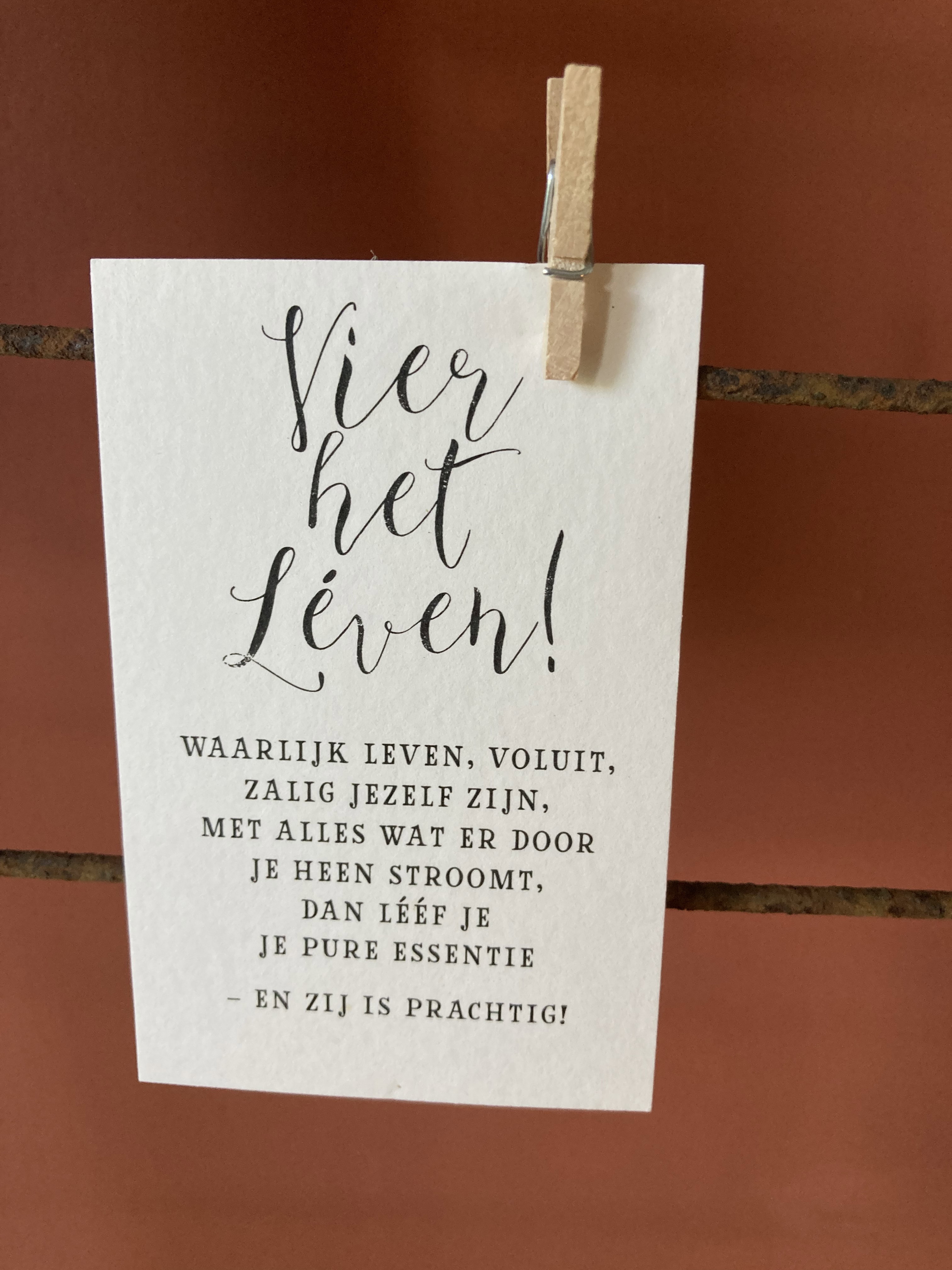 - image: 24